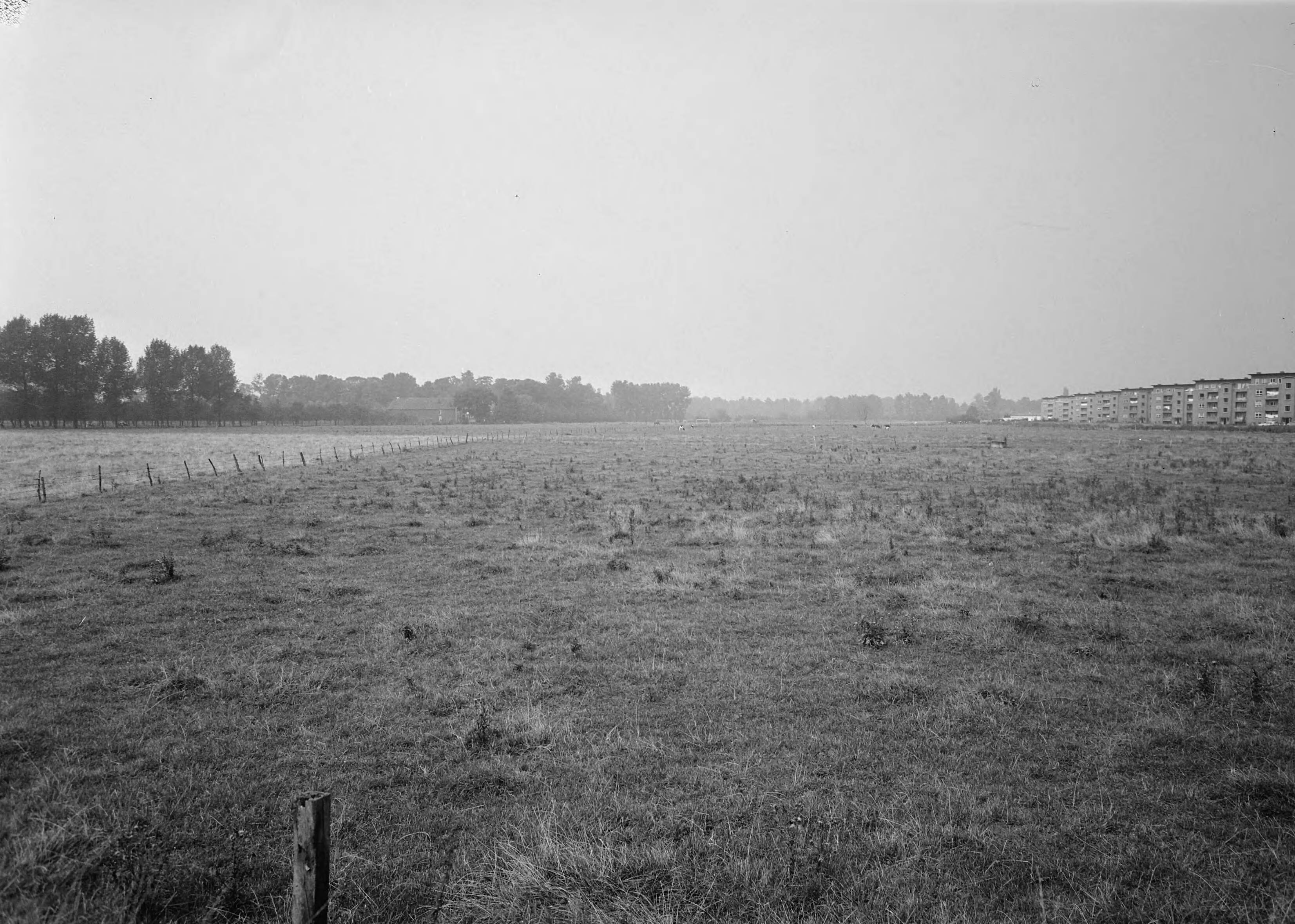 Fotocollectie Nederlandse Heidemaatschappij — Tegenwoordige toestand van de speelplaatsen Mgr. v.d. Rijt Stichting te Maastricht — Foto: Eyssen, [...] / Heidemij. Licentie: Set B: Rechtenvrij / Publiek Domein. Bron: Nationaal Archief. http://hdl.handle.net/10648/ae78a008-d0b4-102d-bcf8-003048976d84