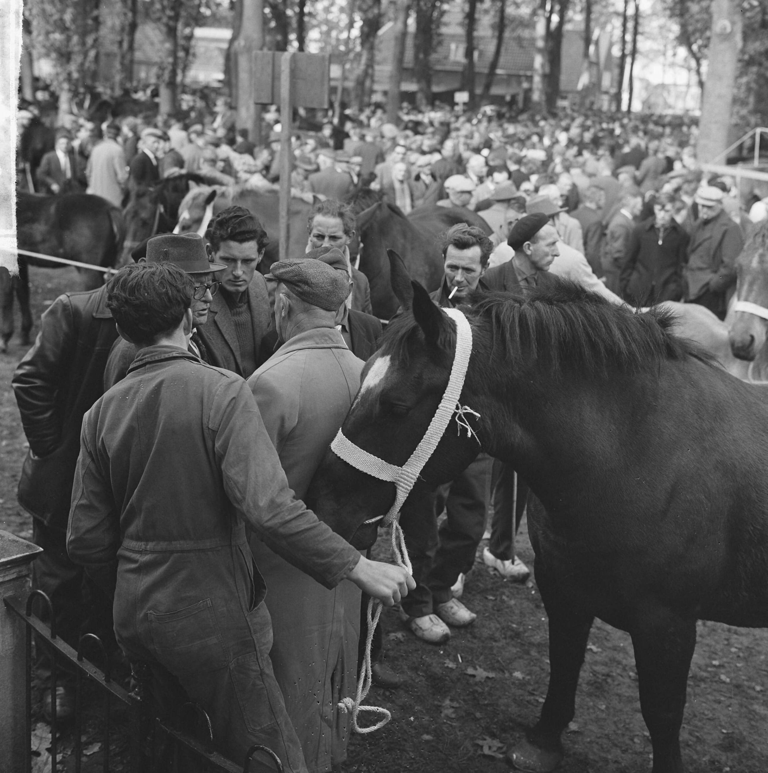 Fotocollectie Anefo — Zuidlaarder Paardenmarkt. Overzicht drukte op de markt — Foto: Walta, Winfried / Anefo. Licentie: Set B: Rechtenvrij / Publiek Domein. Bron: Nationaal Archief. http://hdl.handle.net/10648/aa49cb24-d0b4-102d-bcf8-003048976d84