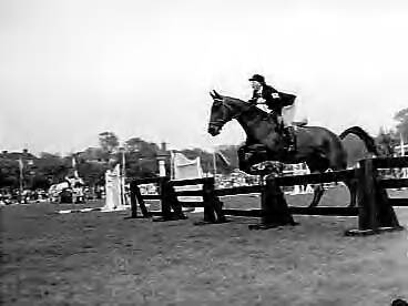 Fotocollectie Anefo — Nationaal concours hippique in het Westbroekpark te Den Haag. Prinses Beatrix in actie — Foto: Rossem, Wim van / Anefo. Licentie: Set B: Rechtenvrij / Publiek Domein. Bron: Nationaal Archief. http://hdl.handle.net/10648/a97e5ce6-d0b4-102d-bcf8-003048976d84