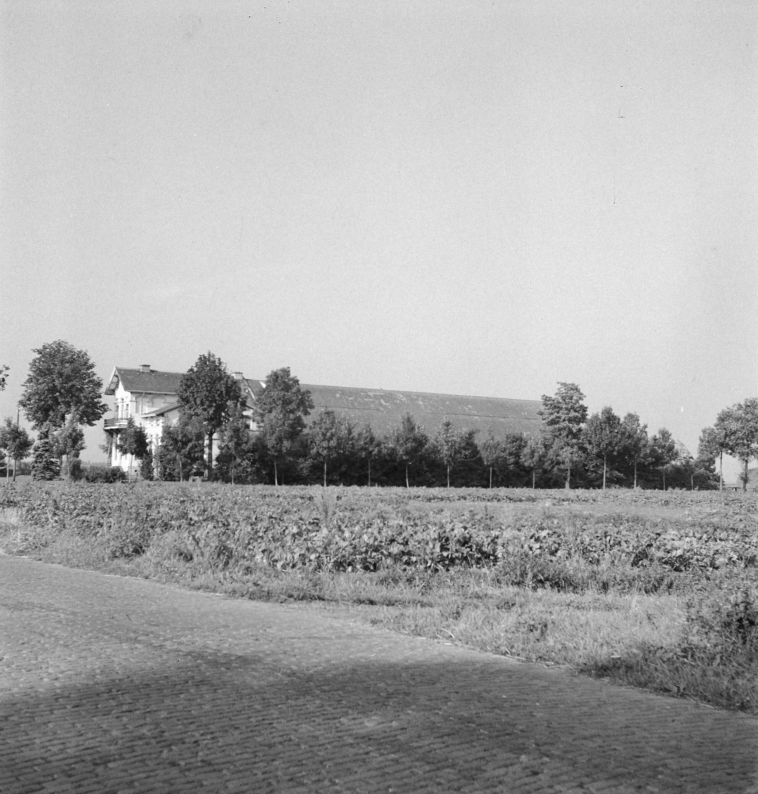 Fotocollectie Nederlandse Heidemaatschappij — Boerderij van Toren - Scheemda — Foto: Tromp, [...] / Heidemij. Licentie: Set B: Rechtenvrij / Publiek Domein. Bron: Nationaal Archief. http://hdl.handle.net/10648/ae7d1930-d0b4-102d-bcf8-003048976d84