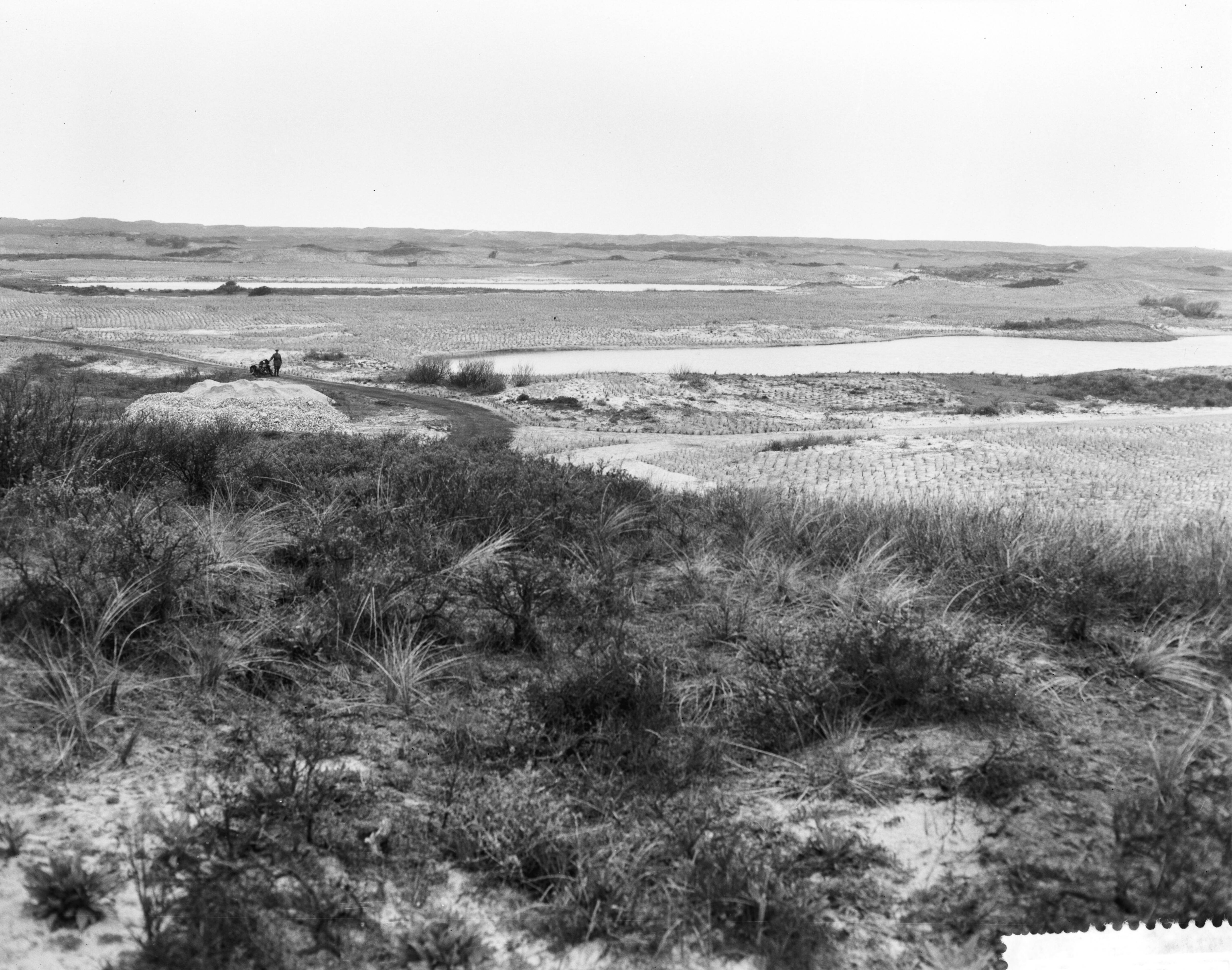 Fotocollectie Anefo — Persrondgang langs duinwatertuinplaats in de Amsterdamse Waterleidingduinen — Foto: Bilsen, Joop van / Anefo. Licentie: Set B: Rechtenvrij / Publiek Domein. Bron: Nationaal Archief. http://hdl.handle.net/10648/a9d1e686-d0b4-102d-bcf8-003048976d84