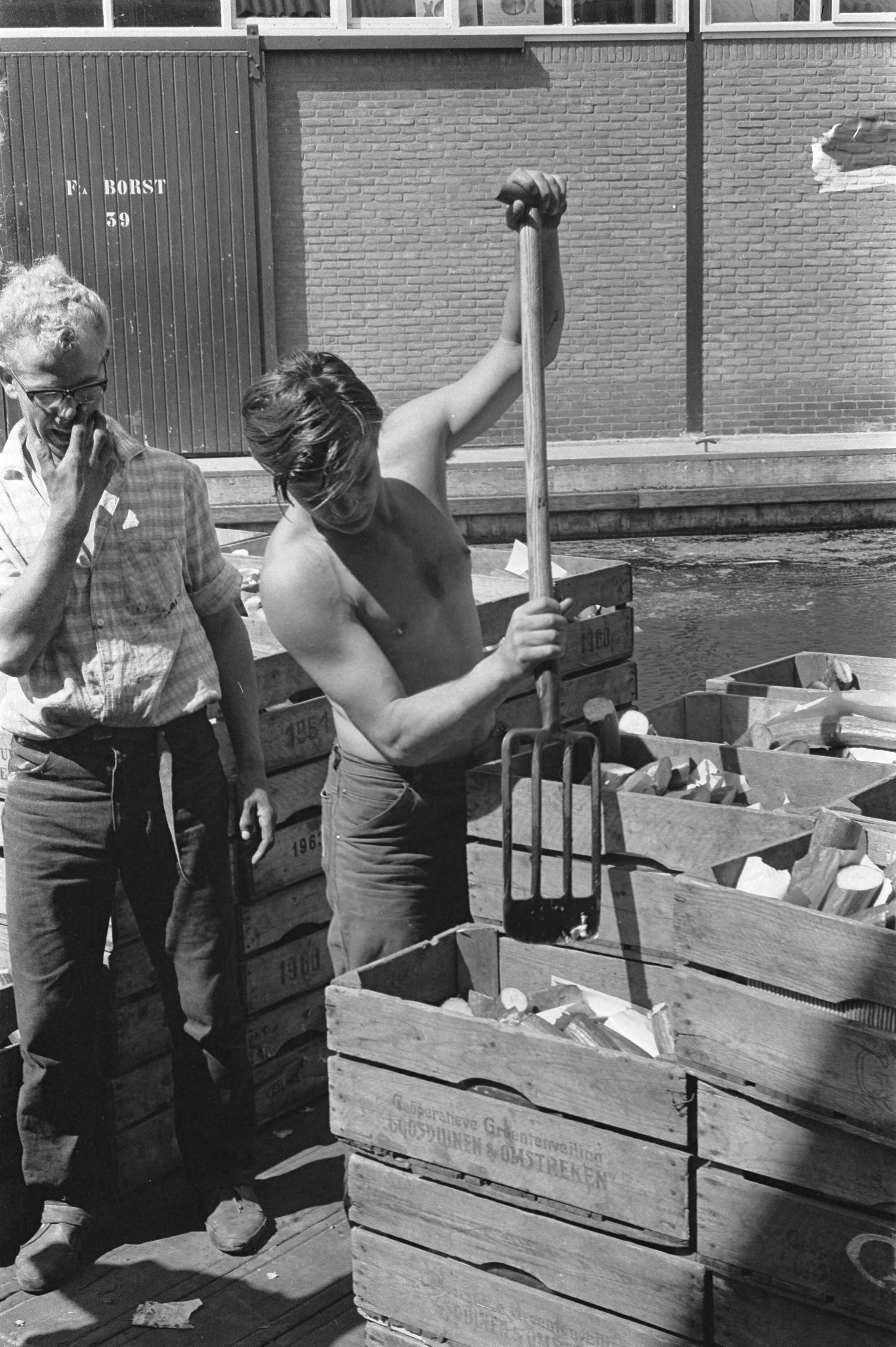 Fotocollectie Anefo — Massale doordraai komkommers begonnen. Het vernietigen op de veiling Loosduinen — Foto: Pot, Harry / Anefo. Licentie: Set B: Rechtenvrij / Publiek Domein. Bron: Nationaal Archief. http://hdl.handle.net/10648/aa402fec-d0b4-102d-bcf8-003048976d84