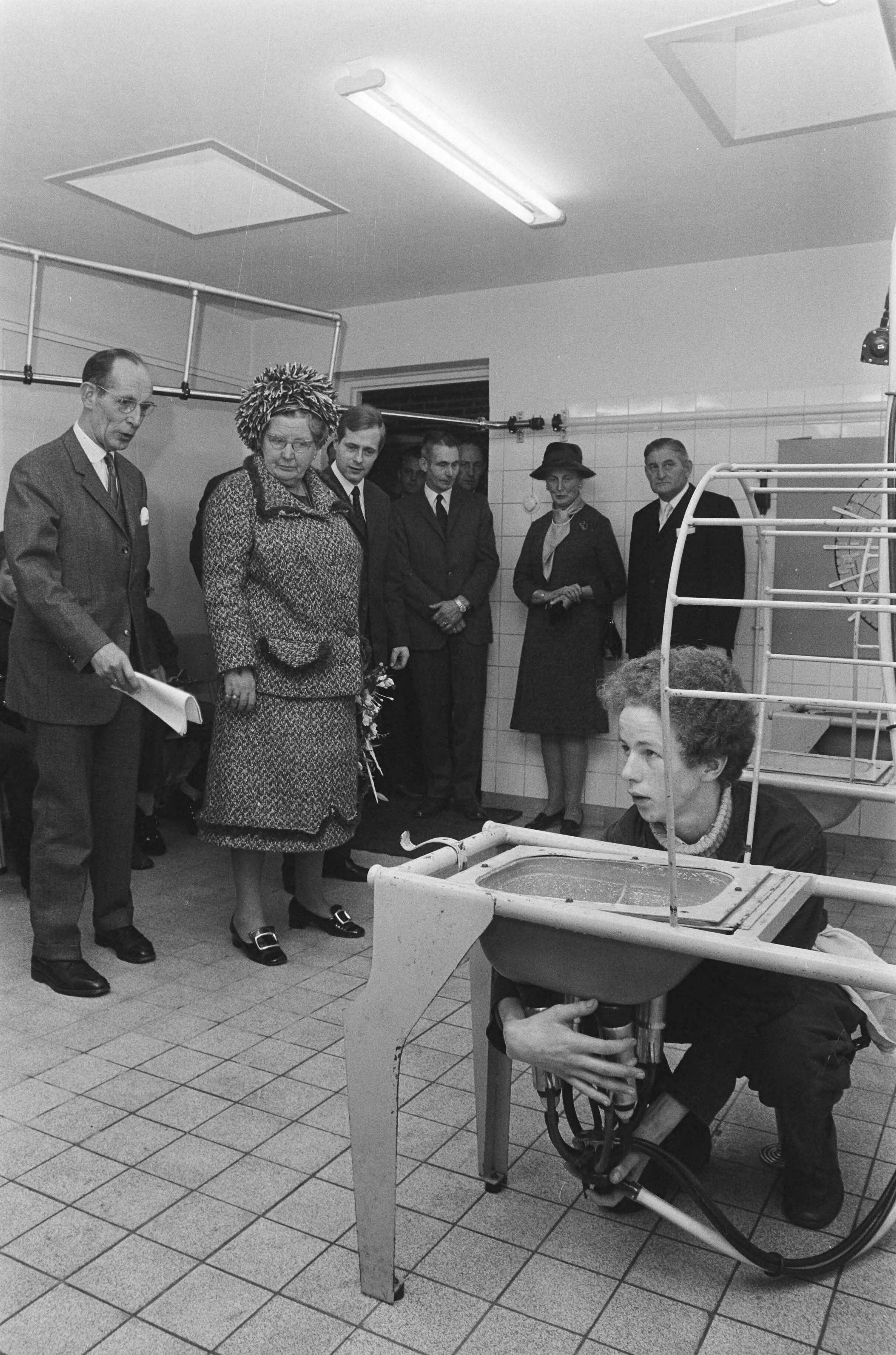 Fotocollectie Anefo — H.M brengt werkbezoek aan Zuidelijk Westerkwartier in Groningen; H.M in Lagere Landbouwschool, Oldekerk; HM bekijkt kunstkoe — Foto: Mieremet, Rob / Anefo. Licentie: Set B: Rechtenvrij / Publiek Domein. Bron: Nationaal Archief. http://hdl.handle.net/10648/abac040a-d0b4-102d-bcf8-003048976d84