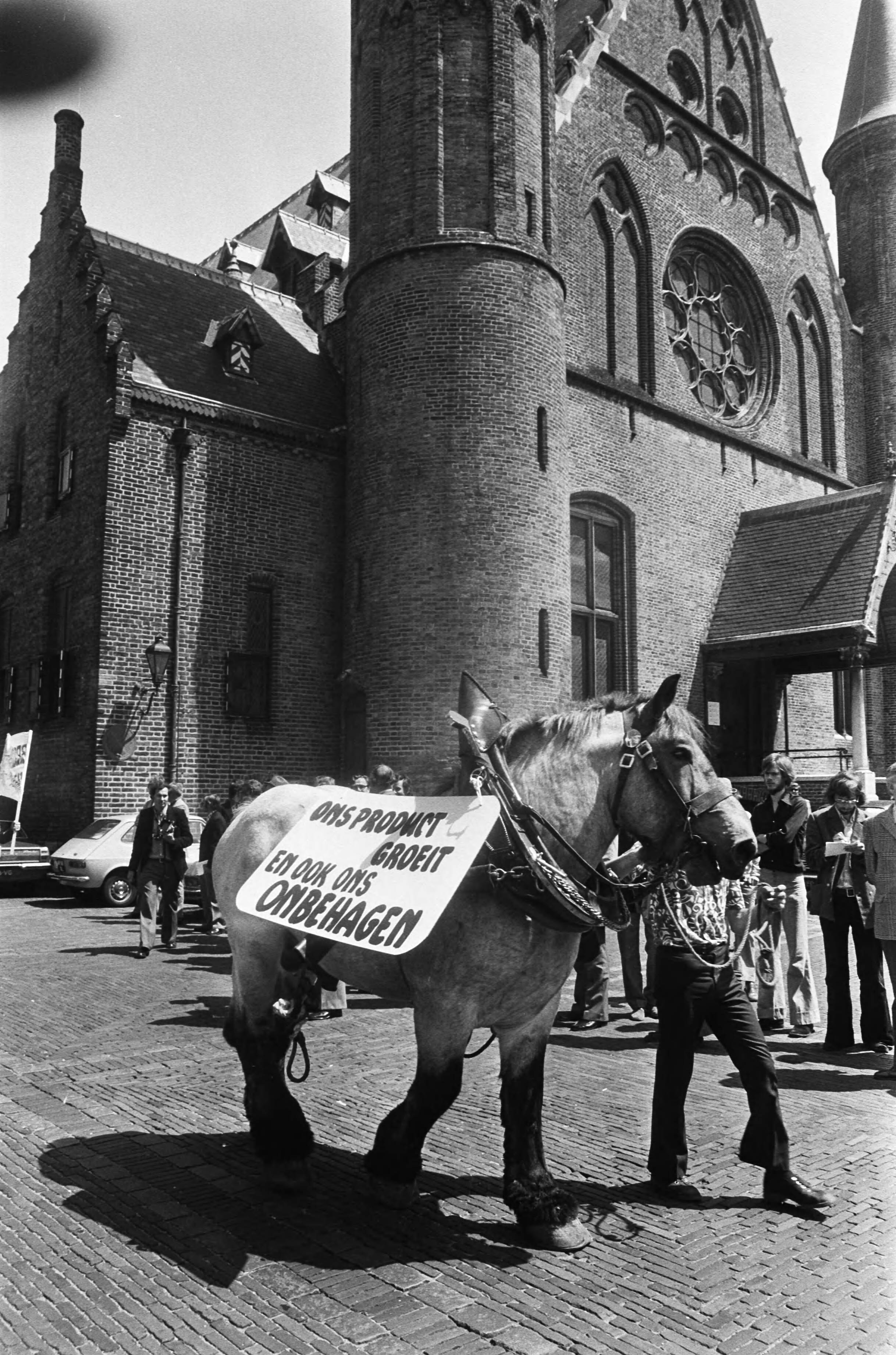 Demonstratie in Den Haag van boeren en tuinders voor betere sociale maatregelen — Demonstranten op het Binnenhof — Foto: Peters, Hans / Anefo. Licentie: Set B: Rechtenvrij / Publiek Domein. Bron: Nationaal Archief. http://hdl.handle.net/10648/ac6b31a4-d0b4-102d-bcf8-003048976d84