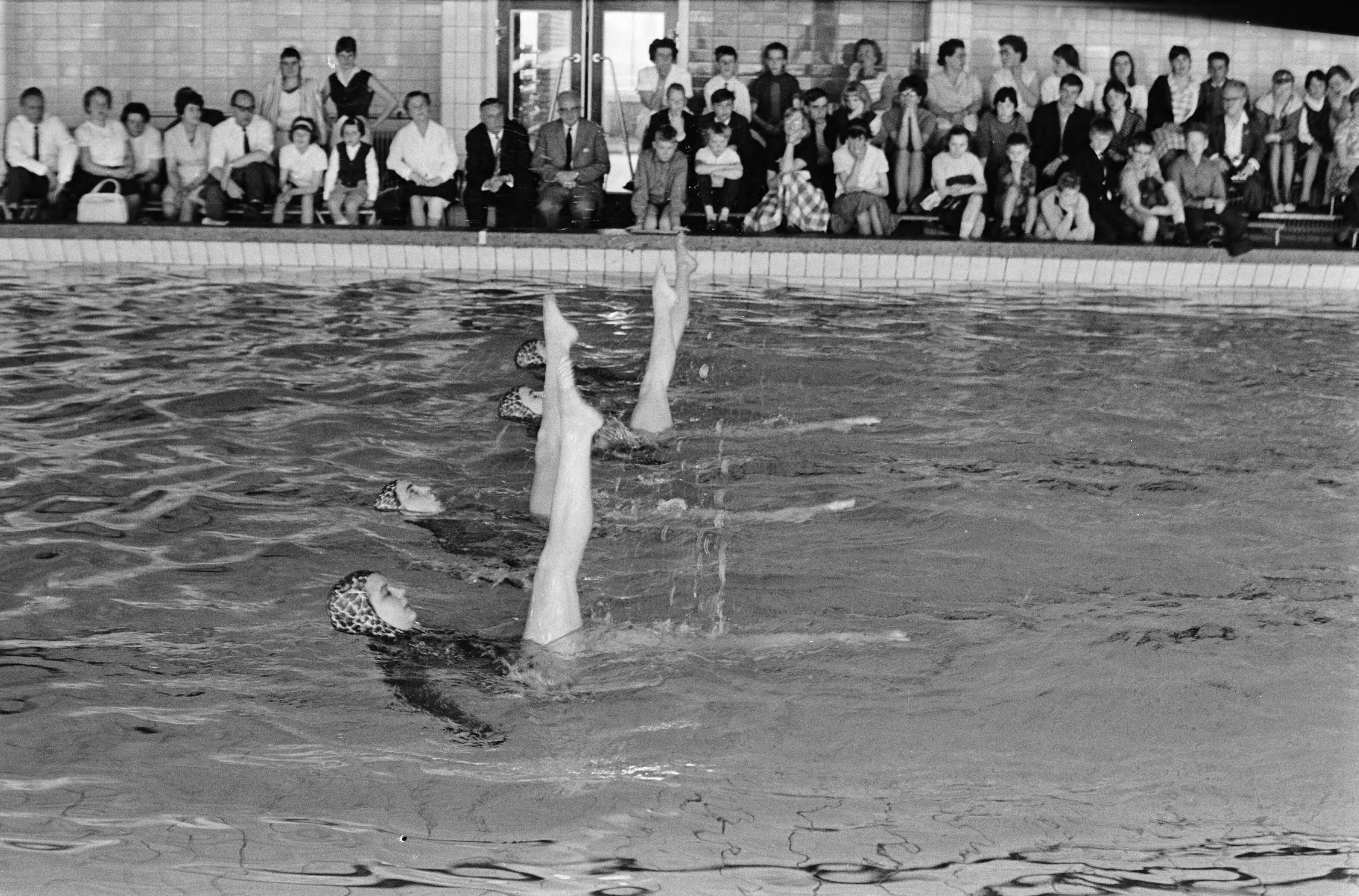 Fotocollectie Anefo — Nationale kunstzwemkampioenschappen te Utrecht in zwembad Den Hommel , de winnaars van de serie groepen van Zwemvereniging ZAR — Foto: Gelderen, Hugo van / Anefo. Licentie: Set B: Rechtenvrij / Publiek Domein. Bron: Nationaal Archief. http://hdl.handle.net/10648/aa688faa-d0b4-102d-bcf8-003048976d84