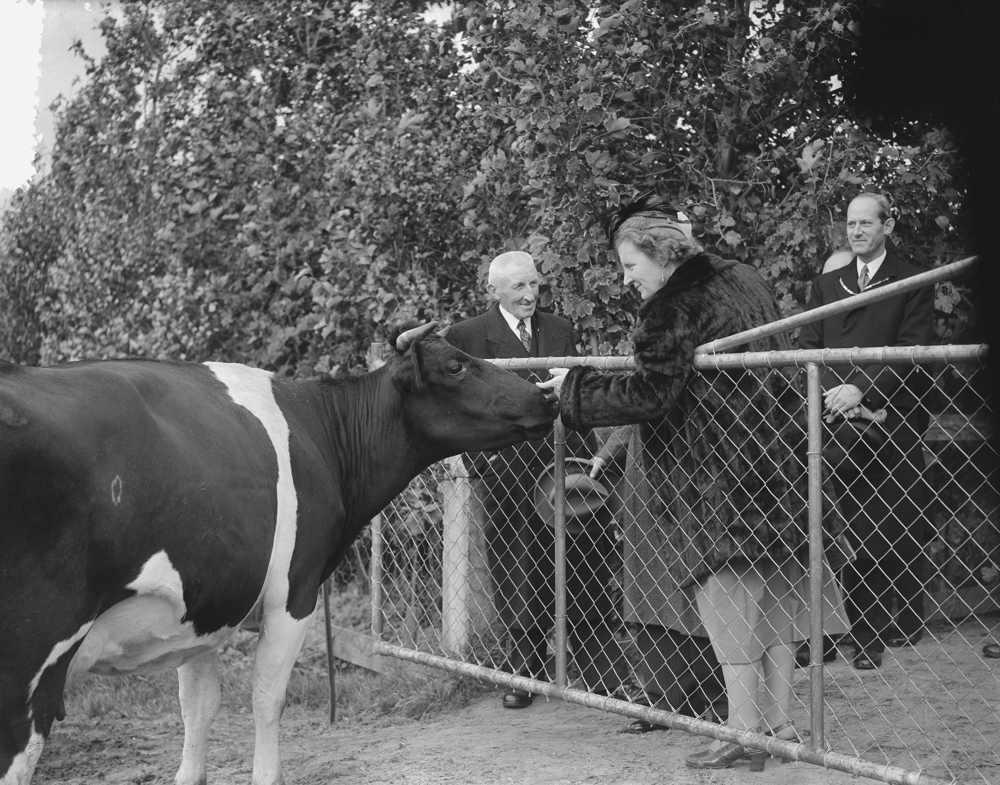 Koningin Juliana bezoekt Leeuwarden — Foto: Bilsen, Joop van / Anefo. — Licentie: Set B: Rechtenvrij / Publiek Domein. Bron: Nationaal Archief. http://hdl.handle.net/10648/a9002506-d0b4-102d-bcf8-003048976d84