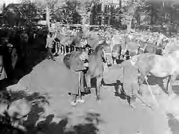 Fotocollectie Anefo — Paardenmarkt in Zuidlaren — Foto: Rossem, Wim van / Anefo. Licentie: Set B: Rechtenvrij / Publiek Domein. Bron: Nationaal Archief. http://hdl.handle.net/10648/a986ef78-d0b4-102d-bcf8-003048976d84
