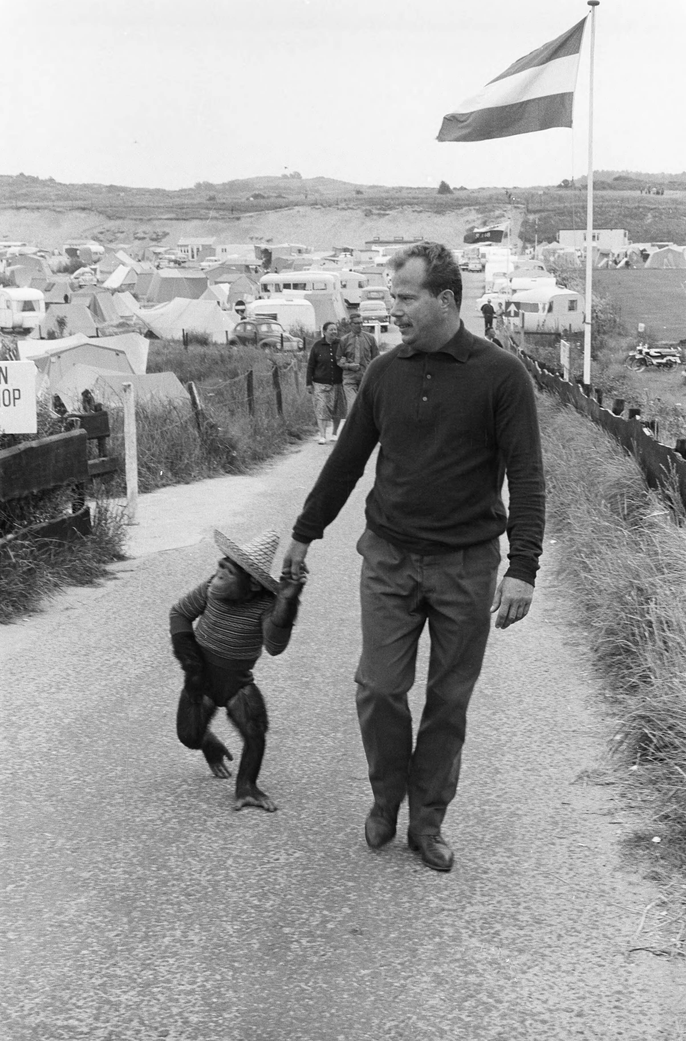 Fotocollectie Anefo — Op Camping Sandevoerde (Zandvoort) logeert een vreemde gast de chimpanse Suzy — Foto: Pot, Harry / Anefo. Licentie: Set B: Rechtenvrij / Publiek Domein. Bron: Nationaal Archief. http://hdl.handle.net/10648/aa12473a-d0b4-102d-bcf8-003048976d84