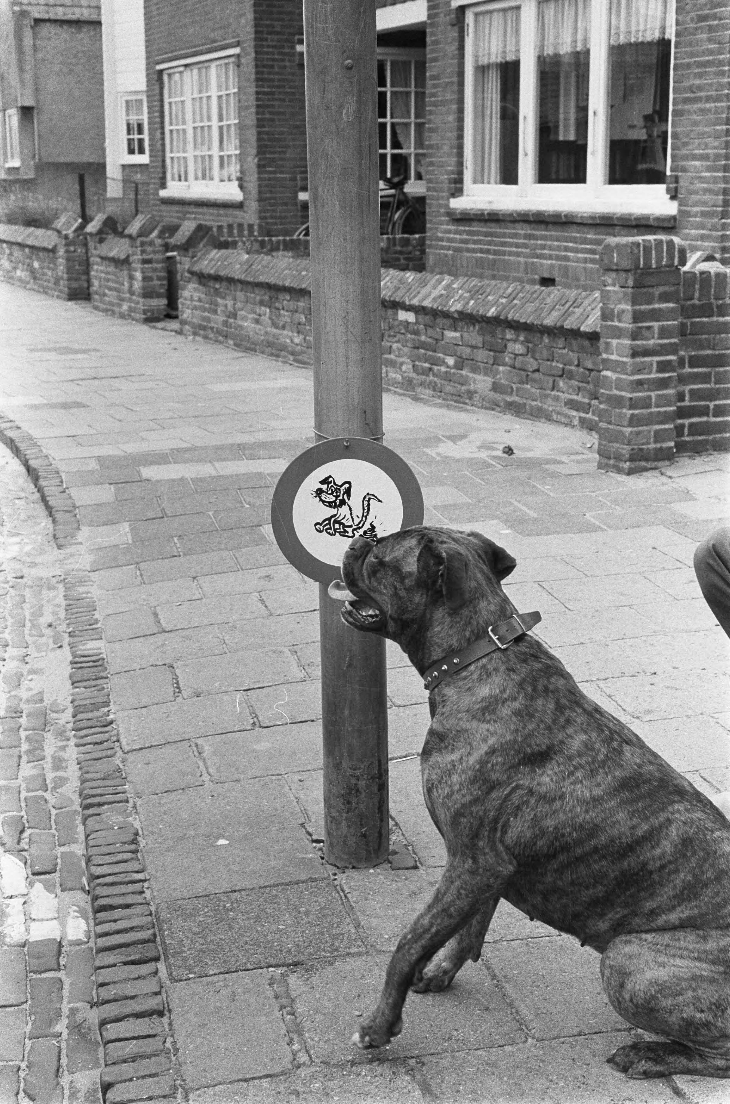 Fotocollectie Anefo — Een inwoner van Zandvoort heeft nieuw "verkeersbord" geplaatst — Foto: Pot, Harry / Anefo. Licentie: Set B: Rechtenvrij / Publiek Domein. Bron: Nationaal Archief. http://hdl.handle.net/10648/aa19ea8a-d0b4-102d-bcf8-003048976d84