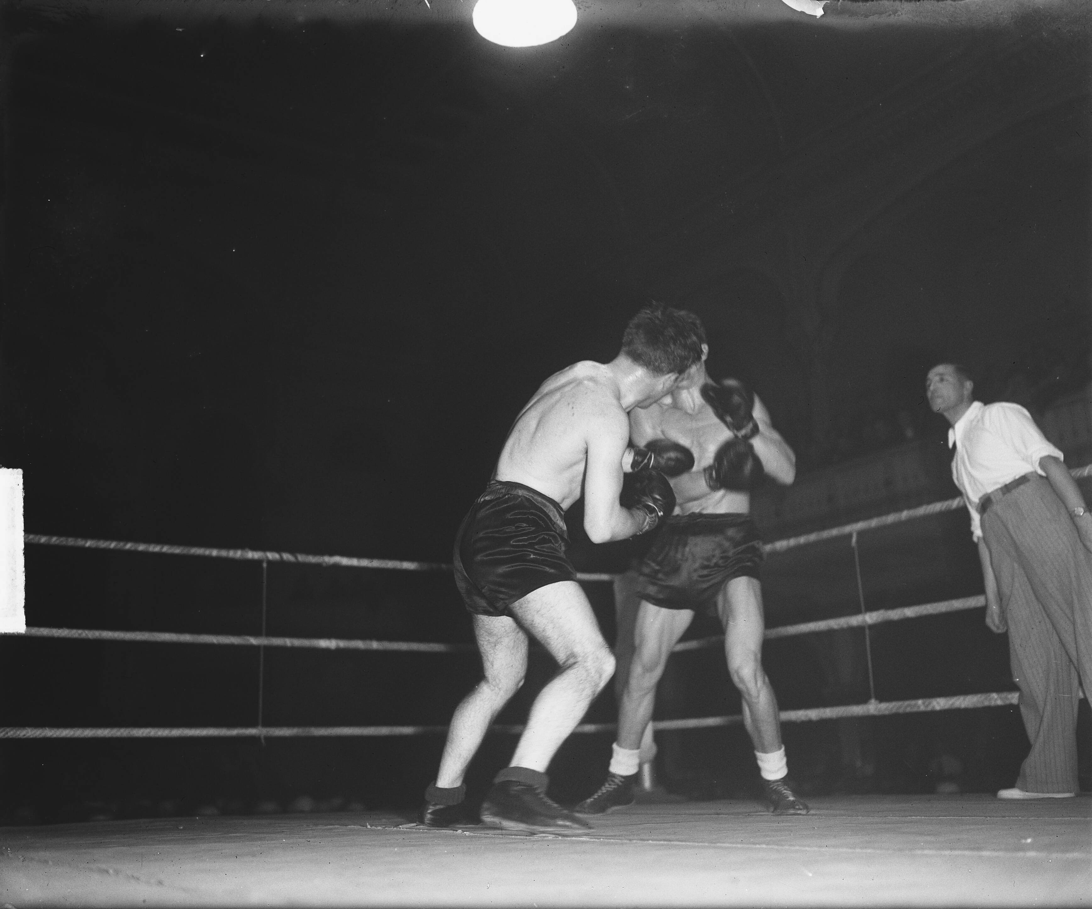 Fotocollectie Anefo — Boksen. Luc van Dam tegen Kid Marcel in de Haagse Dierentuin te Den Haag — Foto: Winterbergen, Rolf / Anefo. Licentie: Set B: Rechtenvrij / Publiek Domein. Bron: Nationaal Archief. http://hdl.handle.net/10648/a8d194de-d0b4-102d-bcf8-003048976d84