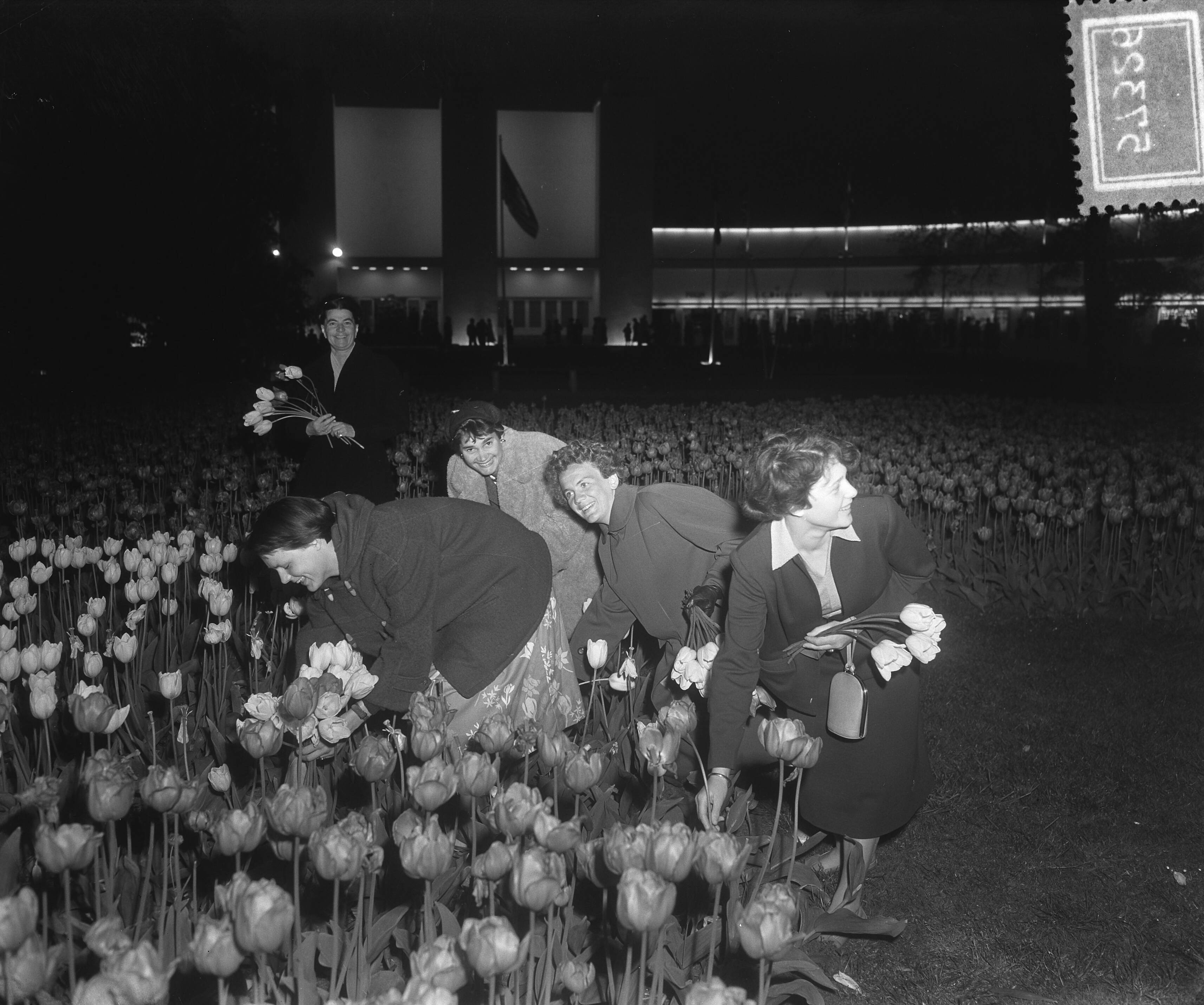 Fotocollectie Anefo — Sluiting bloemententoonstelling "Flora" te Heemstede. Gratis bloemen plukken — Foto: Pot, Harry / Anefo. Licentie: Set B: Rechtenvrij / Publiek Domein. Bron: Nationaal Archief. http://hdl.handle.net/10648/a90c49ee-d0b4-102d-bcf8-003048976d84