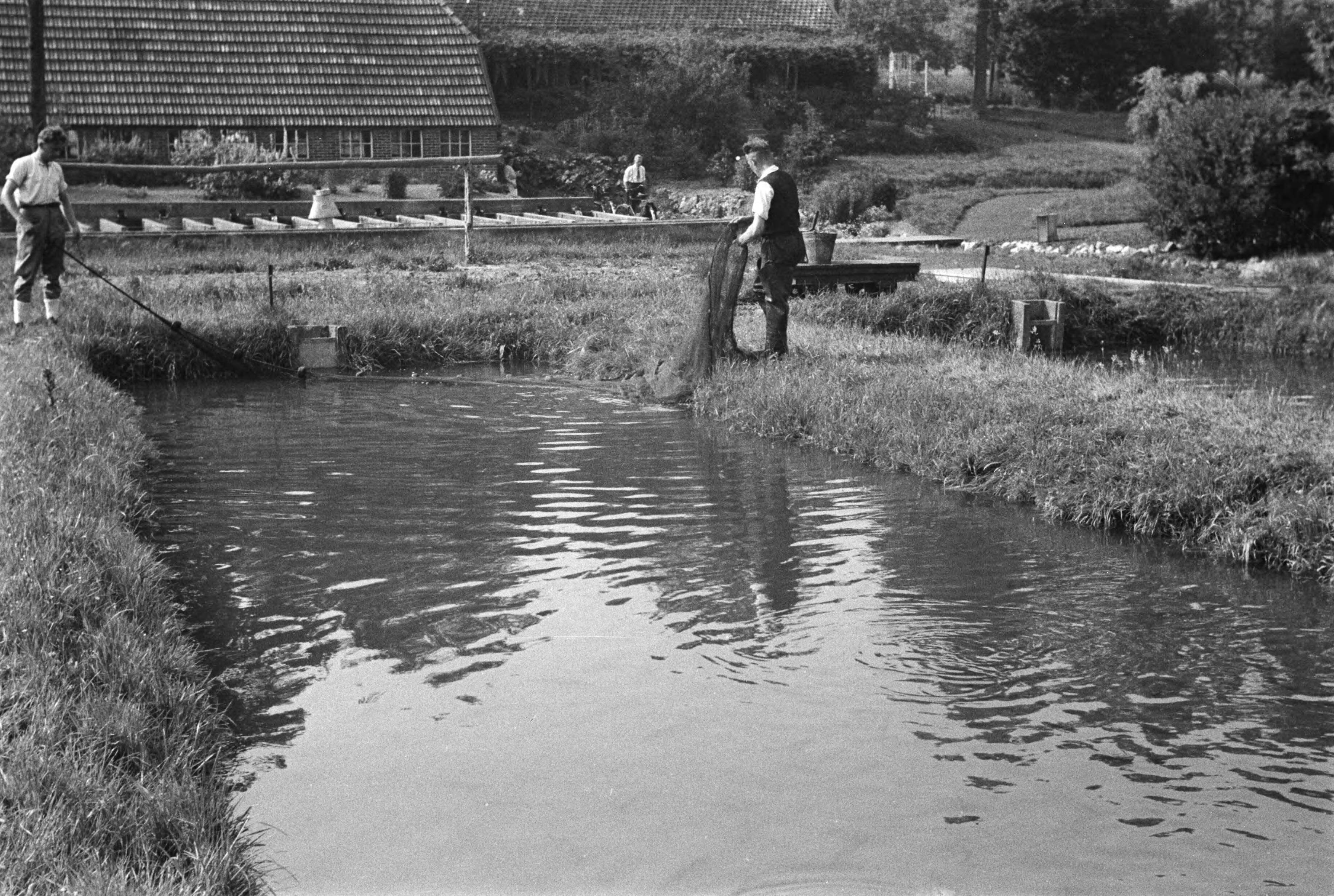 Fotocollectie Nederlandse Heidemaatschappij — Gulpen|visserij |viskwekerijen |forellenvijvers |forellenzegen |uitzetten — Foto: Fotograaf Onbekend / Heidemij. Licentie: Set B: Rechtenvrij / Publiek Domein. Bron: Nationaal Archief. http://hdl.handle.net/10648/ae89ebc4-d0b4-102d-bcf8-003048976d84