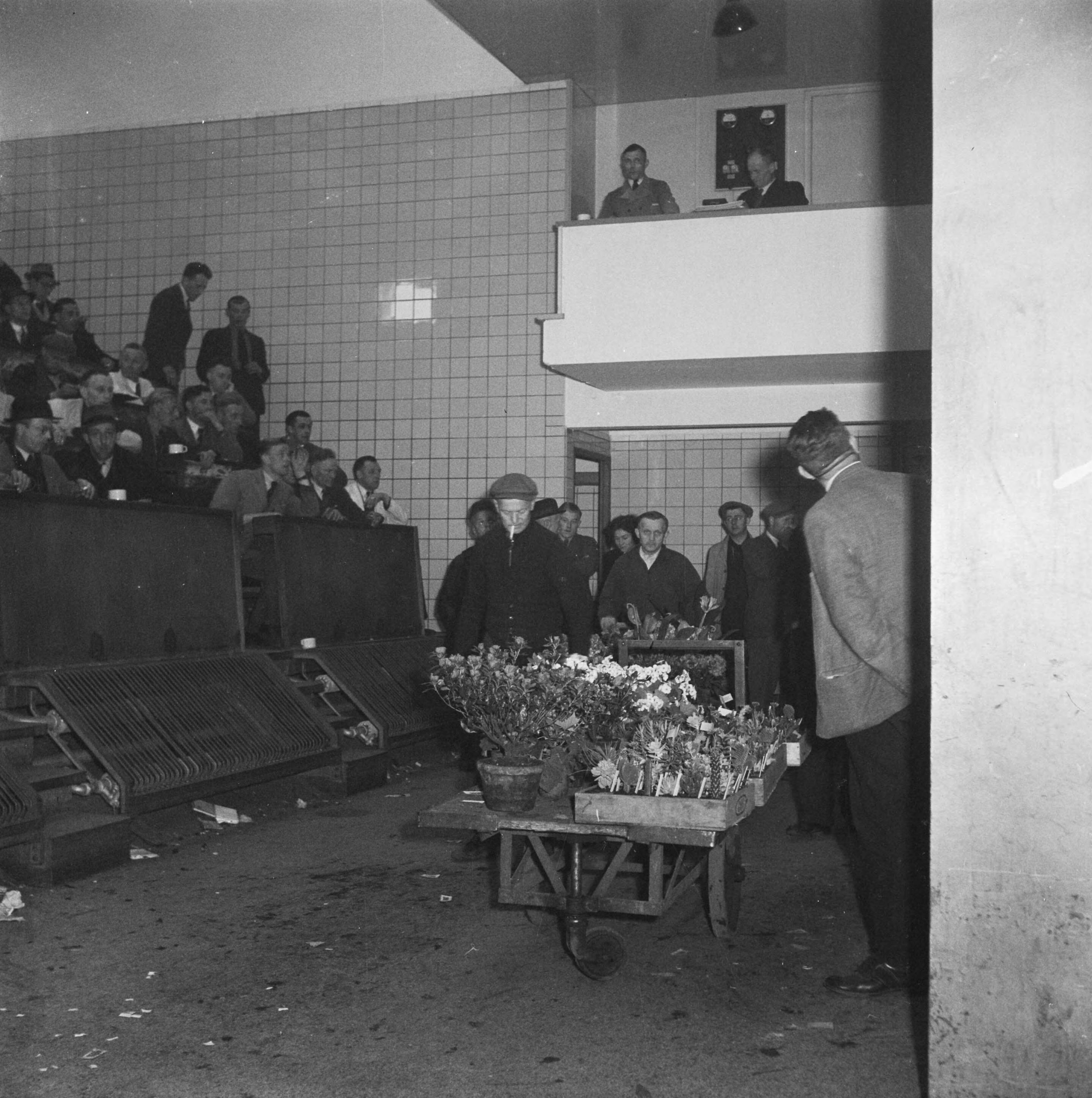 Fotocollectie Anefo — Aalsmeer — Foto: Wisman, Bram / Anefo. Licentie: Set B: Rechtenvrij / Publiek Domein. Bron: Nationaal Archief. http://hdl.handle.net/10648/a8a713f8-d0b4-102d-bcf8-003048976d84