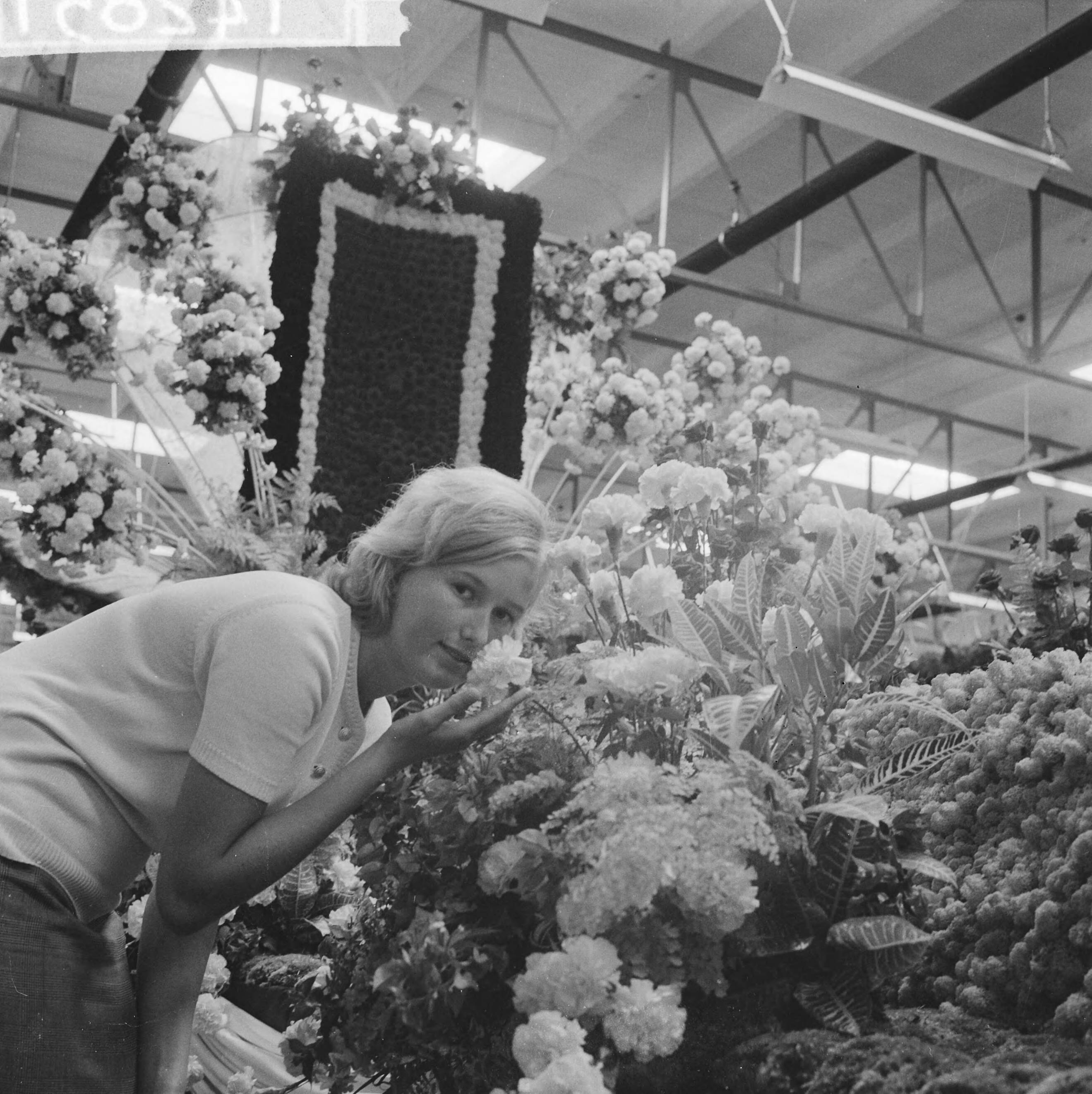 Fotocollectie Anefo — Bloemencorso in Aalsmeer, men was vrijdag druk bezig de wagens op te tuigen — Foto: Koch, Eric / Anefo. Licentie: Set B: Rechtenvrij / Publiek Domein. Bron: Nationaal Archief. http://hdl.handle.net/10648/aa16bd88-d0b4-102d-bcf8-003048976d84