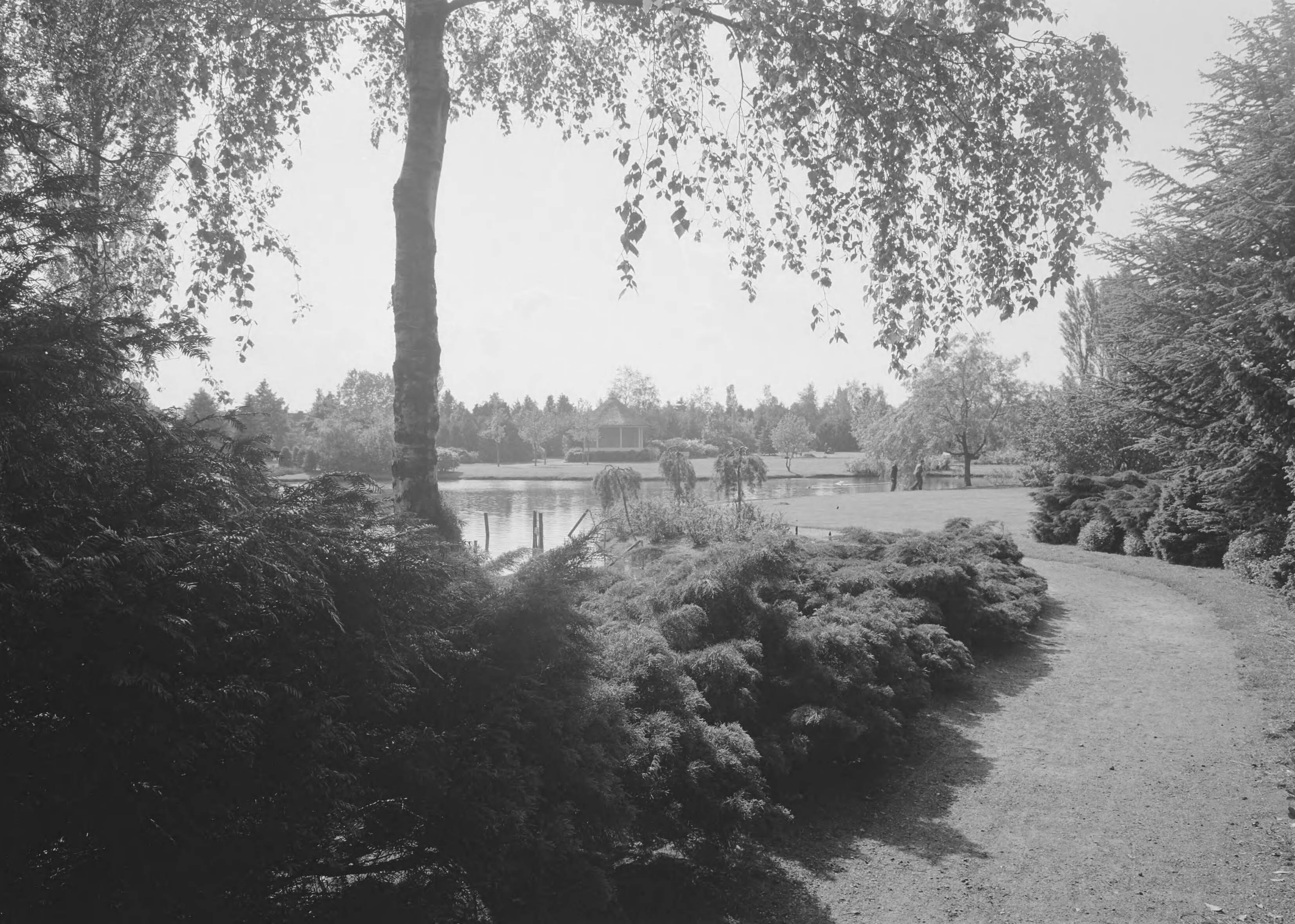 Fotocollectie Nederlandse Heidemaatschappij — Wandelpark Stadskanaal — Foto: Nijhof, [...] / Heidemij. Licentie: Set B: Rechtenvrij / Publiek Domein. Bron: Nationaal Archief. http://hdl.handle.net/10648/ae785fc6-d0b4-102d-bcf8-003048976d84