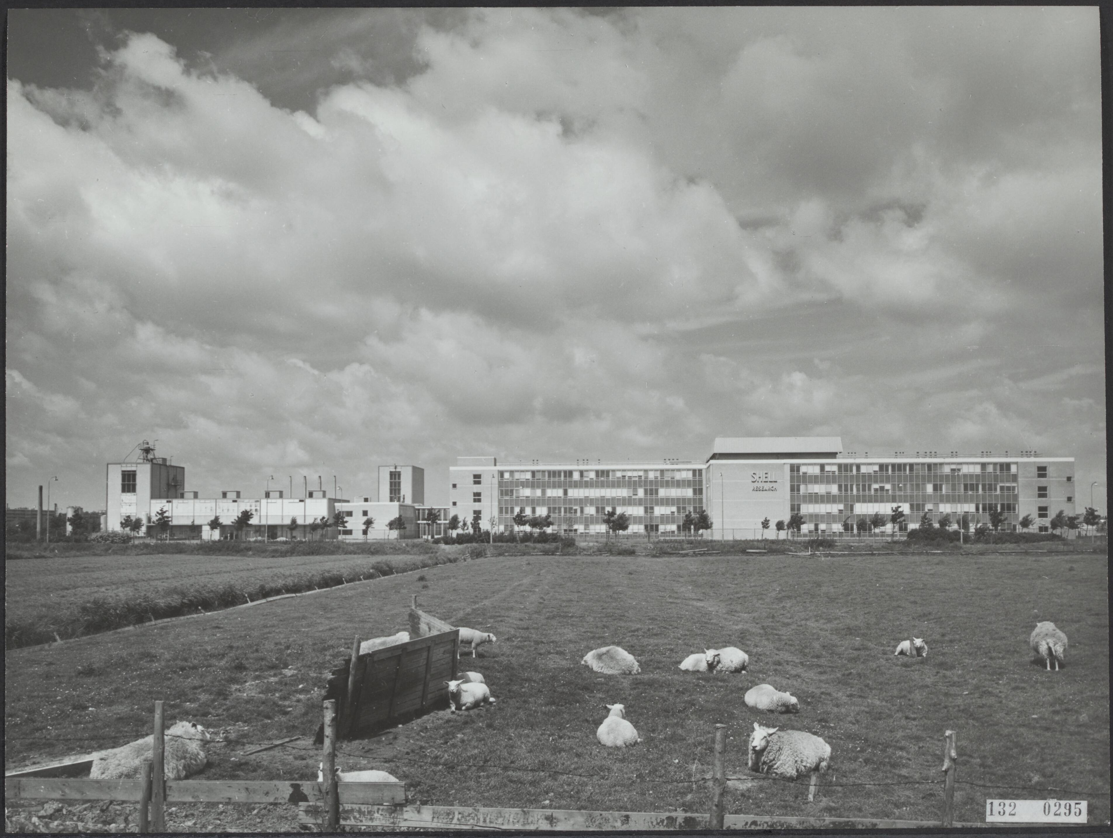 Fotocollectie Rijksvoorlichtingsdienst Eigen — Shell research laboratorium, gezien vanaf Polakweg te Rijswijk — Foto: Fotodienst Gemeente Den Haag. Licentie: Set B: Rechtenvrij / Publiek Domein. Bron: Nationaal Archief. http://hdl.handle.net/10648/af53487a-d0b4-102d-bcf8-003048976d84