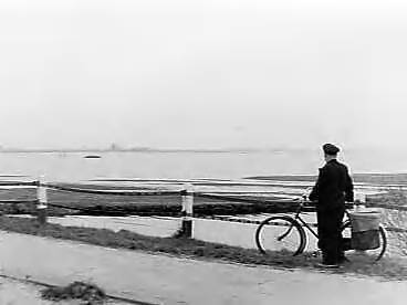Fotocollectie Anefo — Watersnood ten noorden van Leeuwarden — Foto: Rossem, Wim van / Anefo. Licentie: Set B: Rechtenvrij / Publiek Domein. Bron: Nationaal Archief. http://hdl.handle.net/10648/a96e9f86-d0b4-102d-bcf8-003048976d84