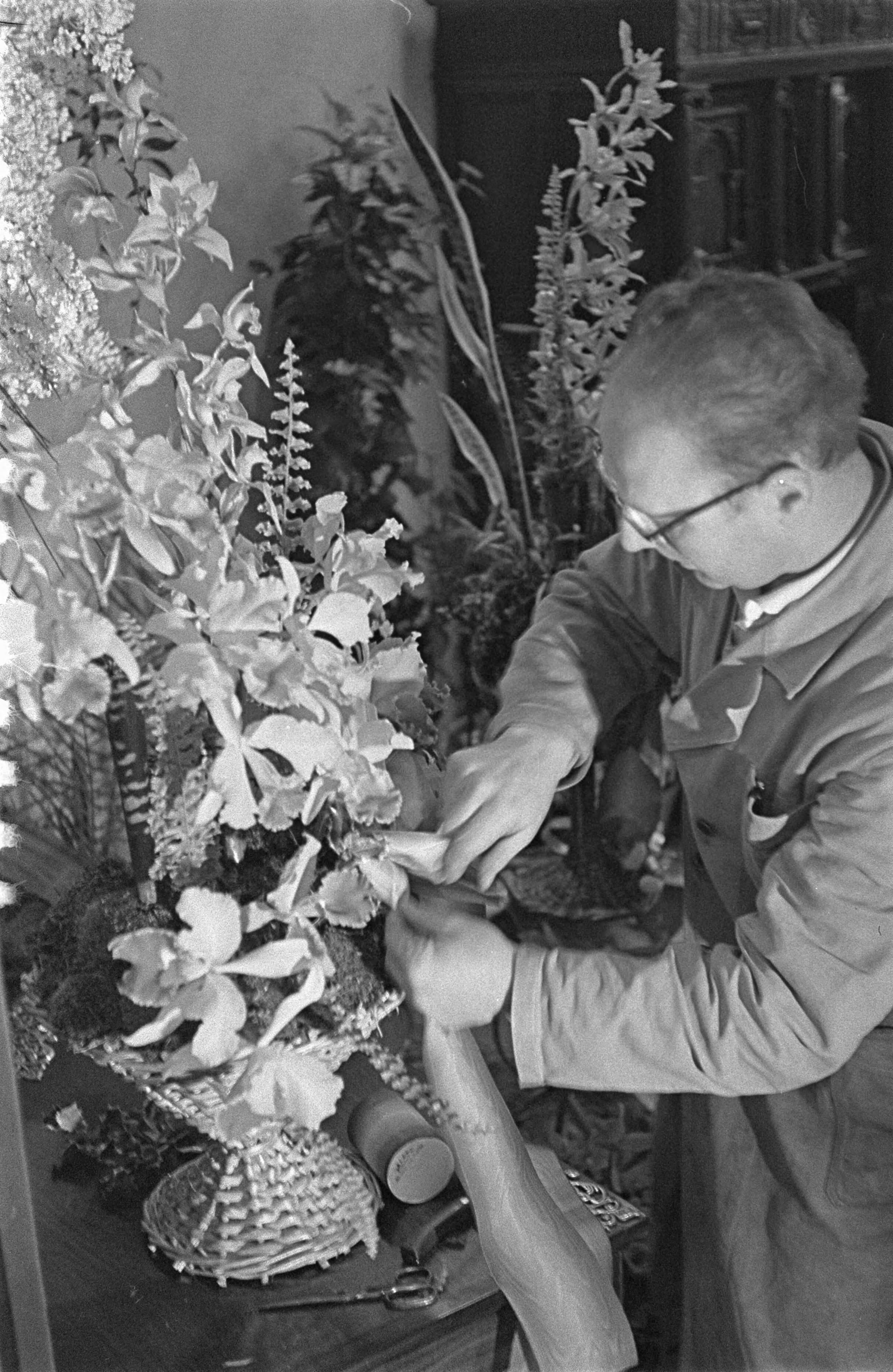Fotocollectie Anefo — Flowershop te Haarlem levert elf bloemstukken voor het huwelijk van de Sjah van Perzië, de heer Schrama bezig met het schikken van orchideëen — Foto: Pot, Harry / Anefo. Licentie: Set B: Rechtenvrij / Publiek Domein. Bron: Nationaal Archief. http://hdl.handle.net/10648/a9a3e6b4-d0b4-102d-bcf8-003048976d84