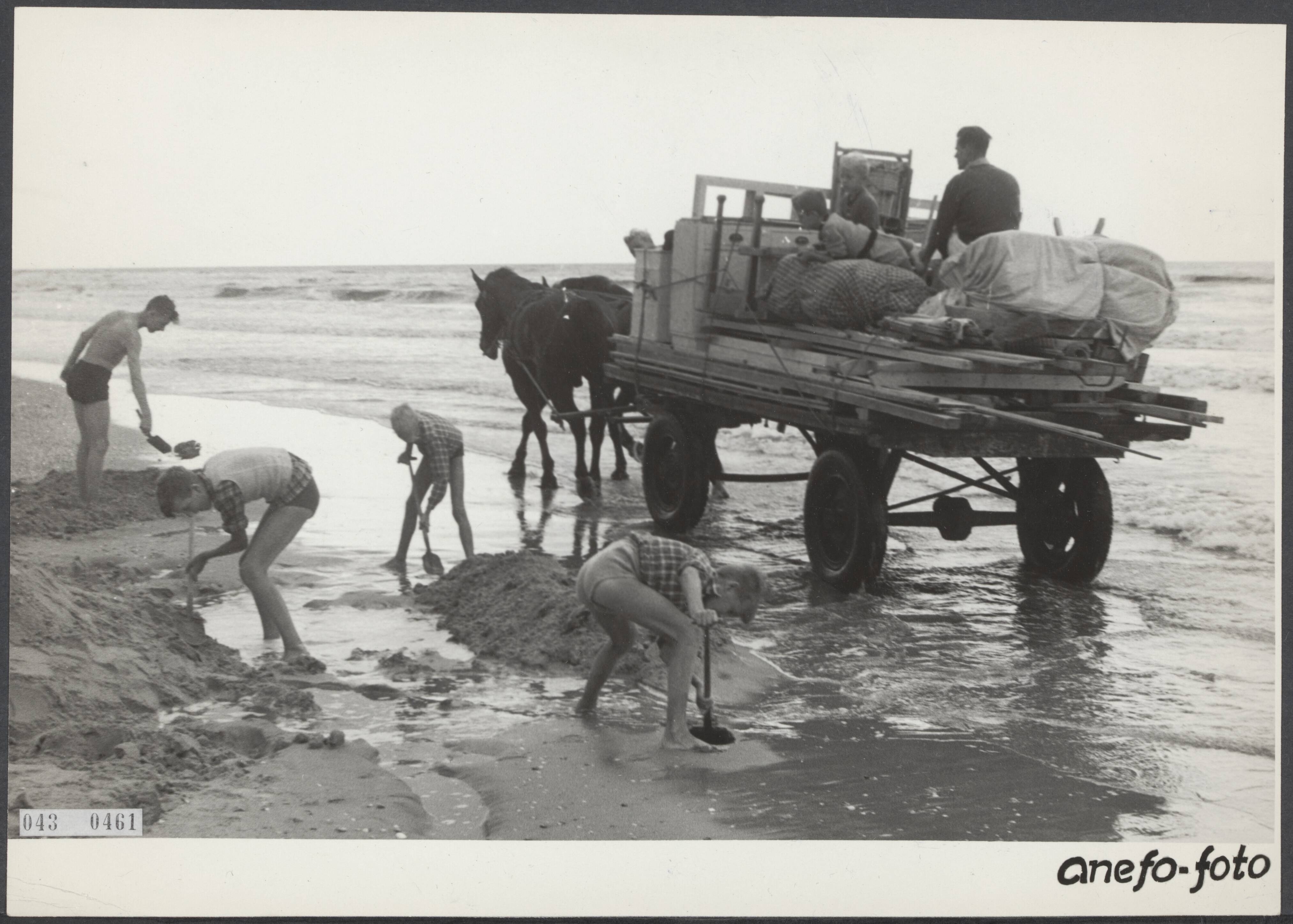 Fotocollectie Elsevier Binnenland — In Zandvoort verlaten de badgasten, die de kampeerhuisjes langs het strand bewonen, langzaam maar zeker de badplaats. De huisjes worden afgebroken en per paard en wagen naar de boulevard getransporteerd. De kinderen amuseren zich nog best aan het strand al laat het weer nog wel iets te wensen over — Foto: Fotograaf Onbekend / Anefo. Licentie: Set B: Rechtenvrij / Publiek Domein. Bron: Nationaal Archief. http://hdl.handle.net/10648/adf90ea6-d0b4-102d-bcf8-003048976d84