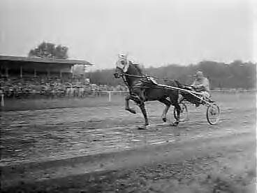 Fotocollectie Anefo — Draverijen en paardenrennen op Duindigt — Foto: Bilsen, Joop van / Anefo. Licentie: Set B: Rechtenvrij / Publiek Domein. Bron: Nationaal Archief. http://hdl.handle.net/10648/a96a91f2-d0b4-102d-bcf8-003048976d84