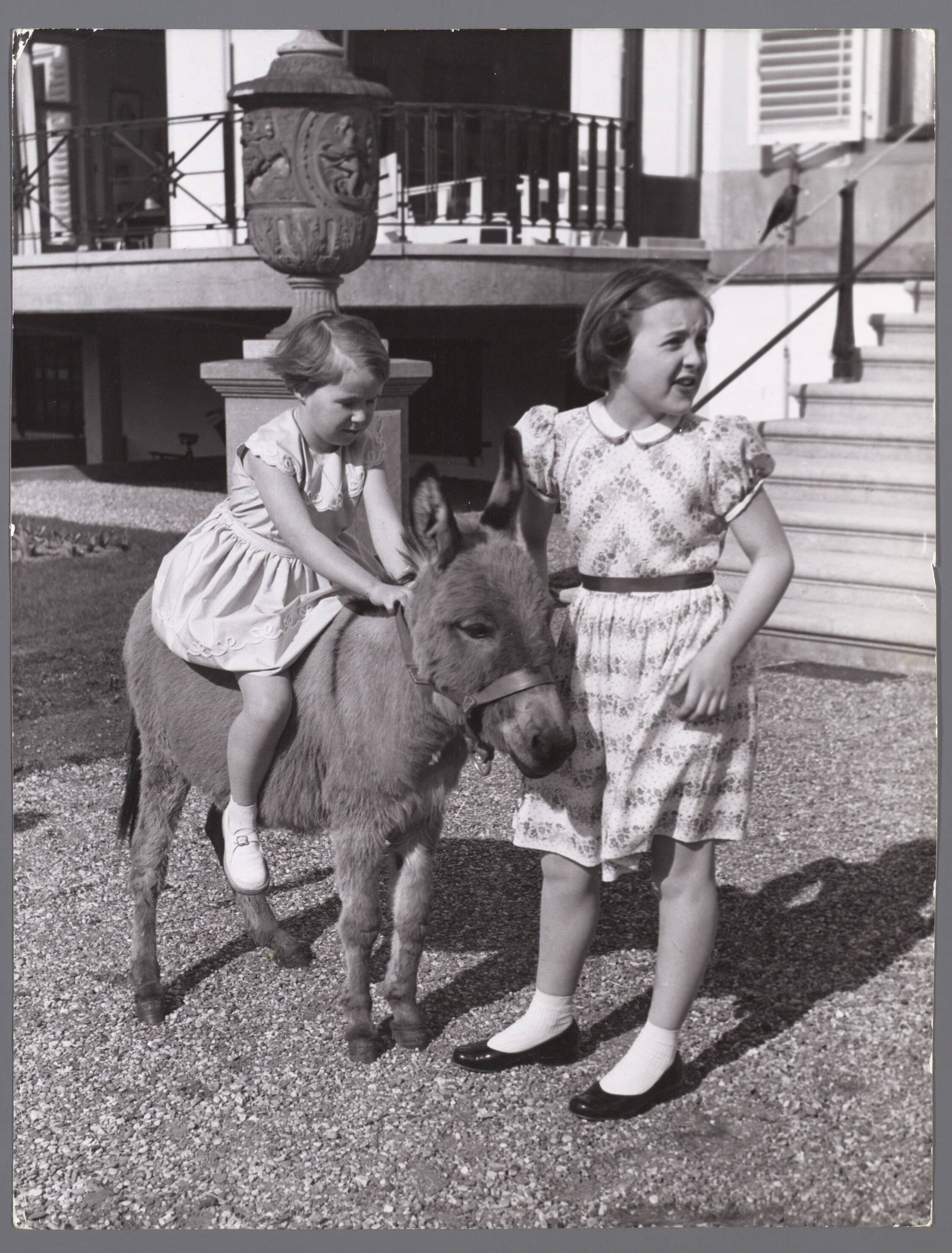 Fotocollectie RVD / Koninklijk Huis — Prinses Margriet en prinses Marijke zittend op een ezel bij Paleis Soestdijk — Foto: Reijken, Tiemen van der / RVD. Licentie: Set B: Rechtenvrij / Publiek Domein. Bron: Nationaal Archief. http://hdl.handle.net/10648/afae5a3a-d0b4-102d-bcf8-003048976d84