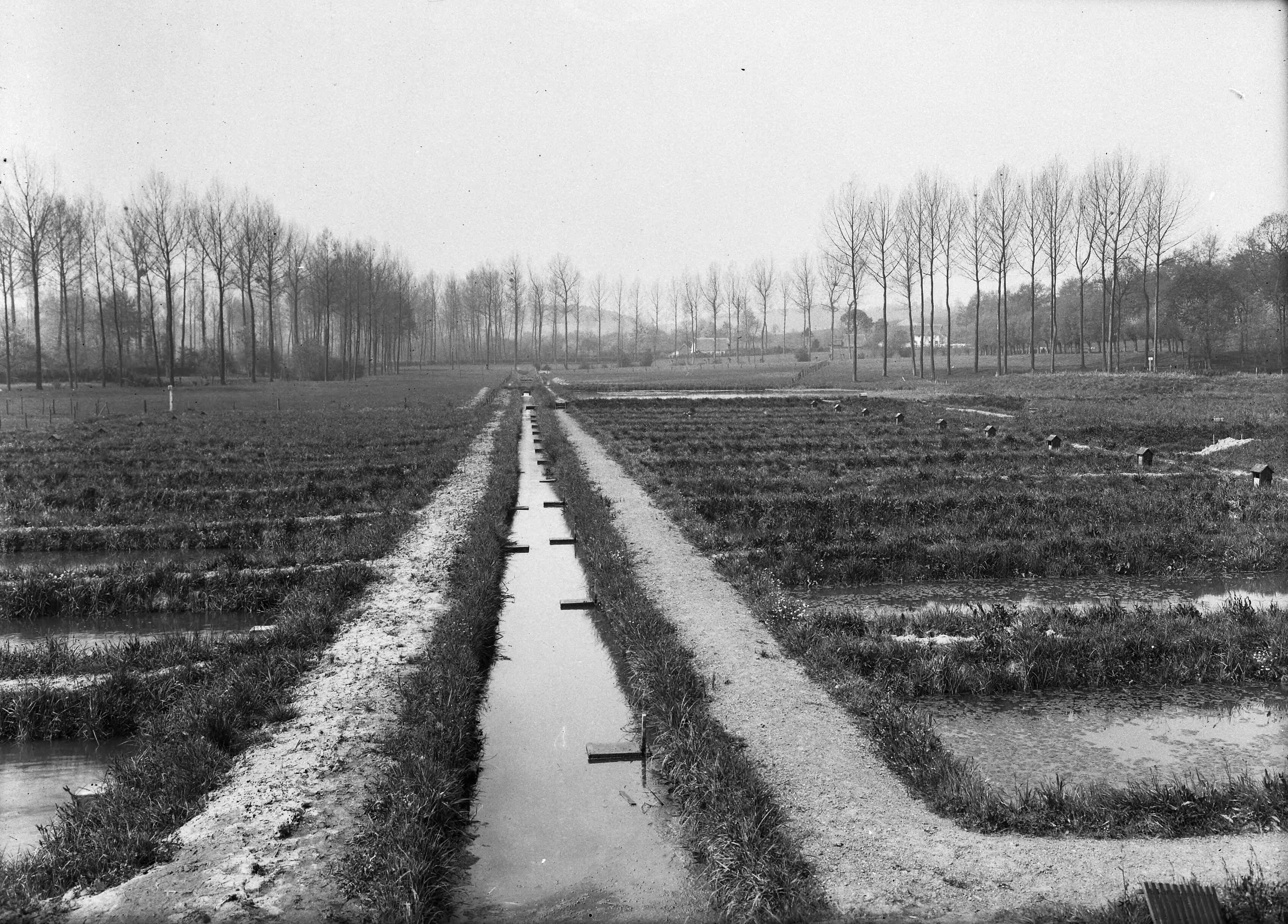 Fotocollectie Nederlandse Heidemaatschappij — Kweekvijvers te Gulpen — Foto: Fotograaf Onbekend / Heidemij. Licentie: Set B: Rechtenvrij / Publiek Domein. Bron: Nationaal Archief. http://hdl.handle.net/10648/ae7c3ede-d0b4-102d-bcf8-003048976d84