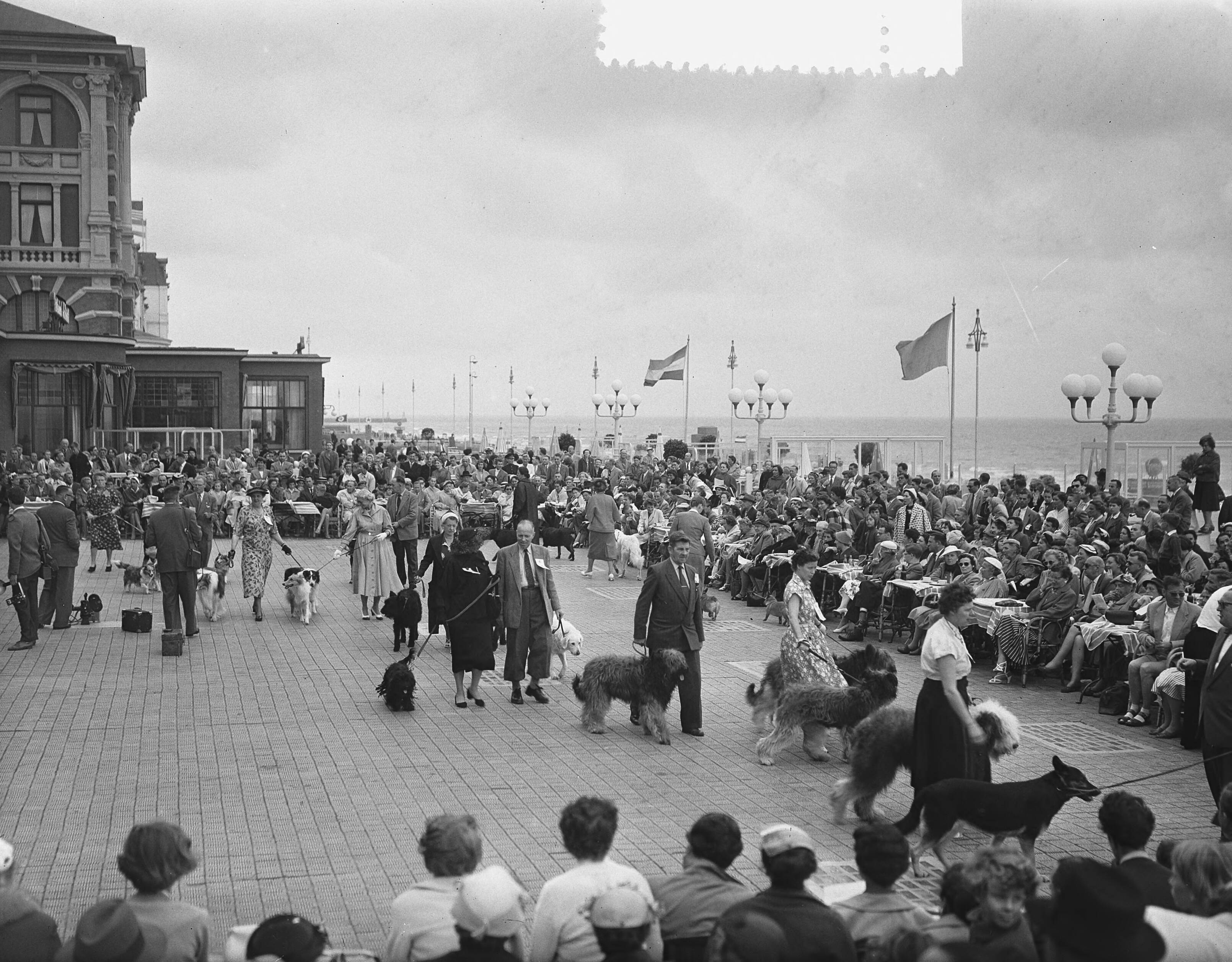 Fotocollectie Anefo — Hondenparade terras Kurhaus Scheveningen — Foto: Bilsen, Joop van / Anefo. Licentie: Set B: Rechtenvrij / Publiek Domein. Bron: Nationaal Archief. http://hdl.handle.net/10648/a93927ac-d0b4-102d-bcf8-003048976d84
