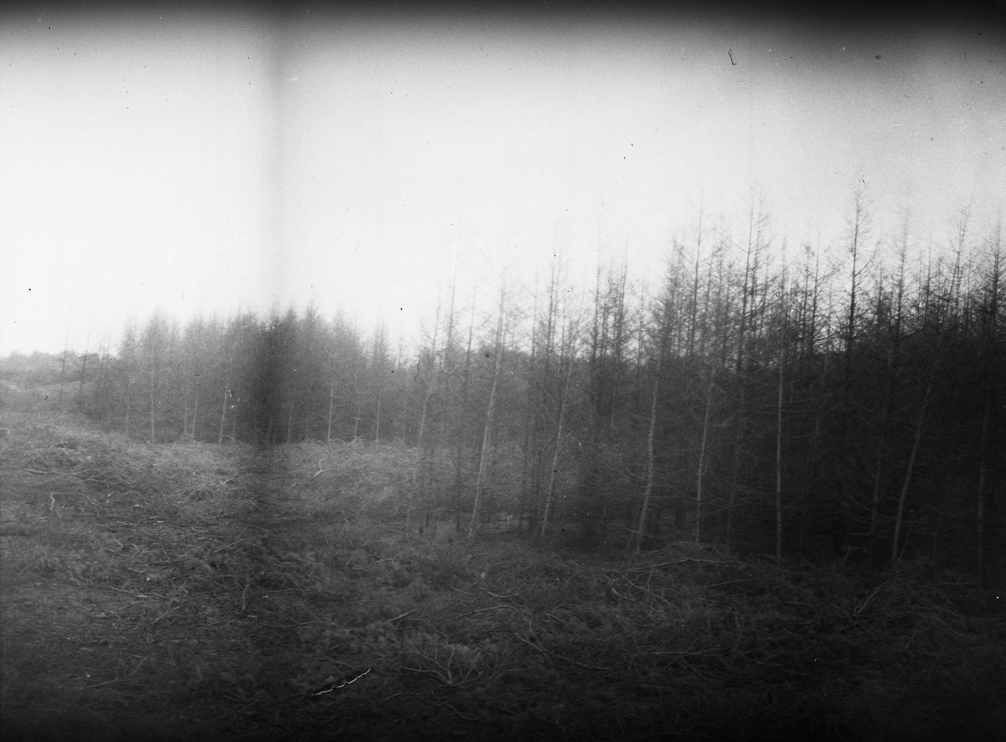 Fotocollectie Nederlandse Heidemaatschappij — Terrein na bosbrand in het Loosbos bij Eygelshoven — Foto: Fotograaf Onbekend / Heidemij. Licentie: Set B: Rechtenvrij / Publiek Domein. Bron: Nationaal Archief. http://hdl.handle.net/10648/ae45e3a2-d0b4-102d-bcf8-003048976d84