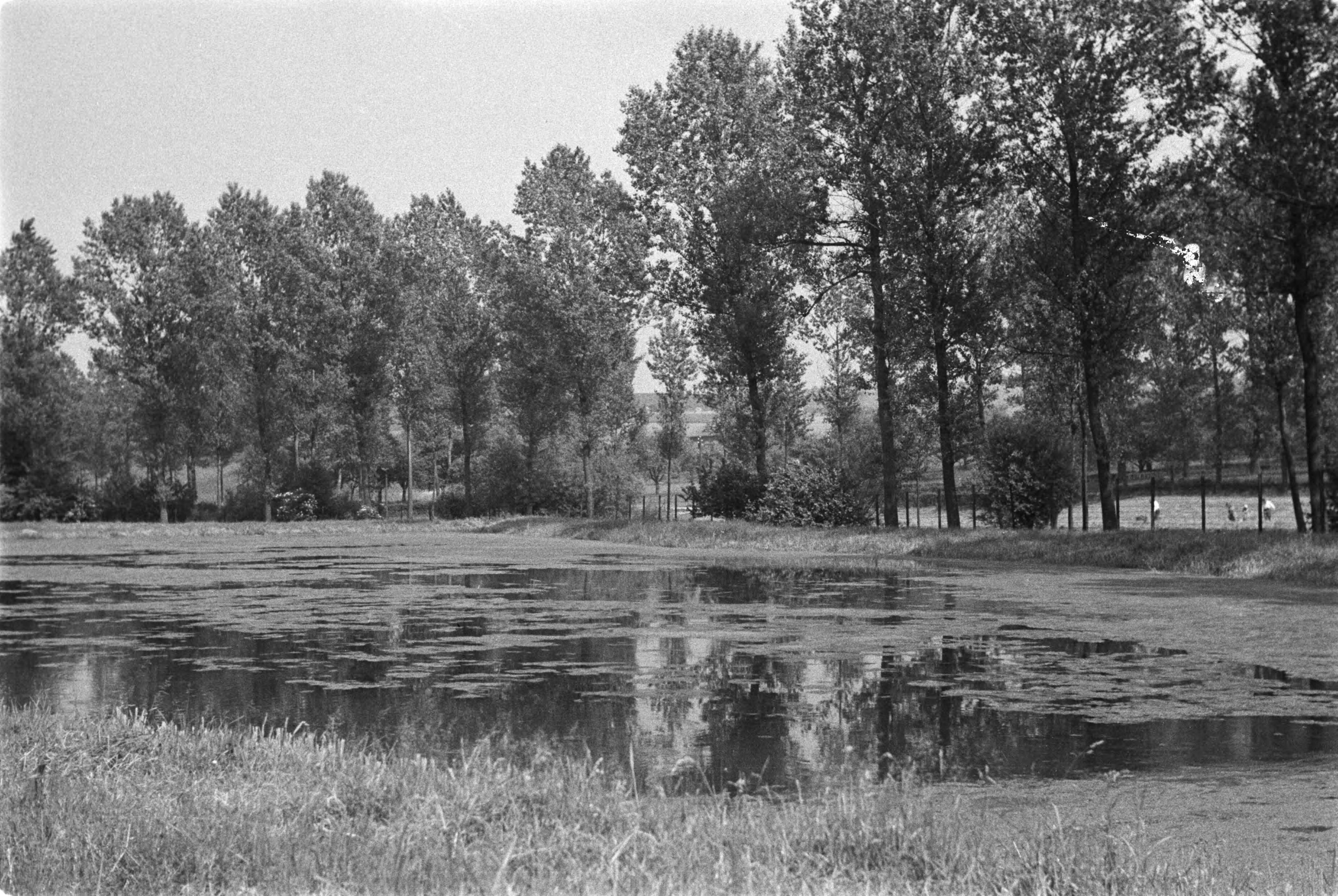 Fotocollectie Nederlandse Heidemaatschappij — Gulpen|visserij |viskwekerijen |lage vijvers — Foto: Fotograaf Onbekend / Heidemij. Licentie: Set B: Rechtenvrij / Publiek Domein. Bron: Nationaal Archief. http://hdl.handle.net/10648/ae89e08e-d0b4-102d-bcf8-003048976d84