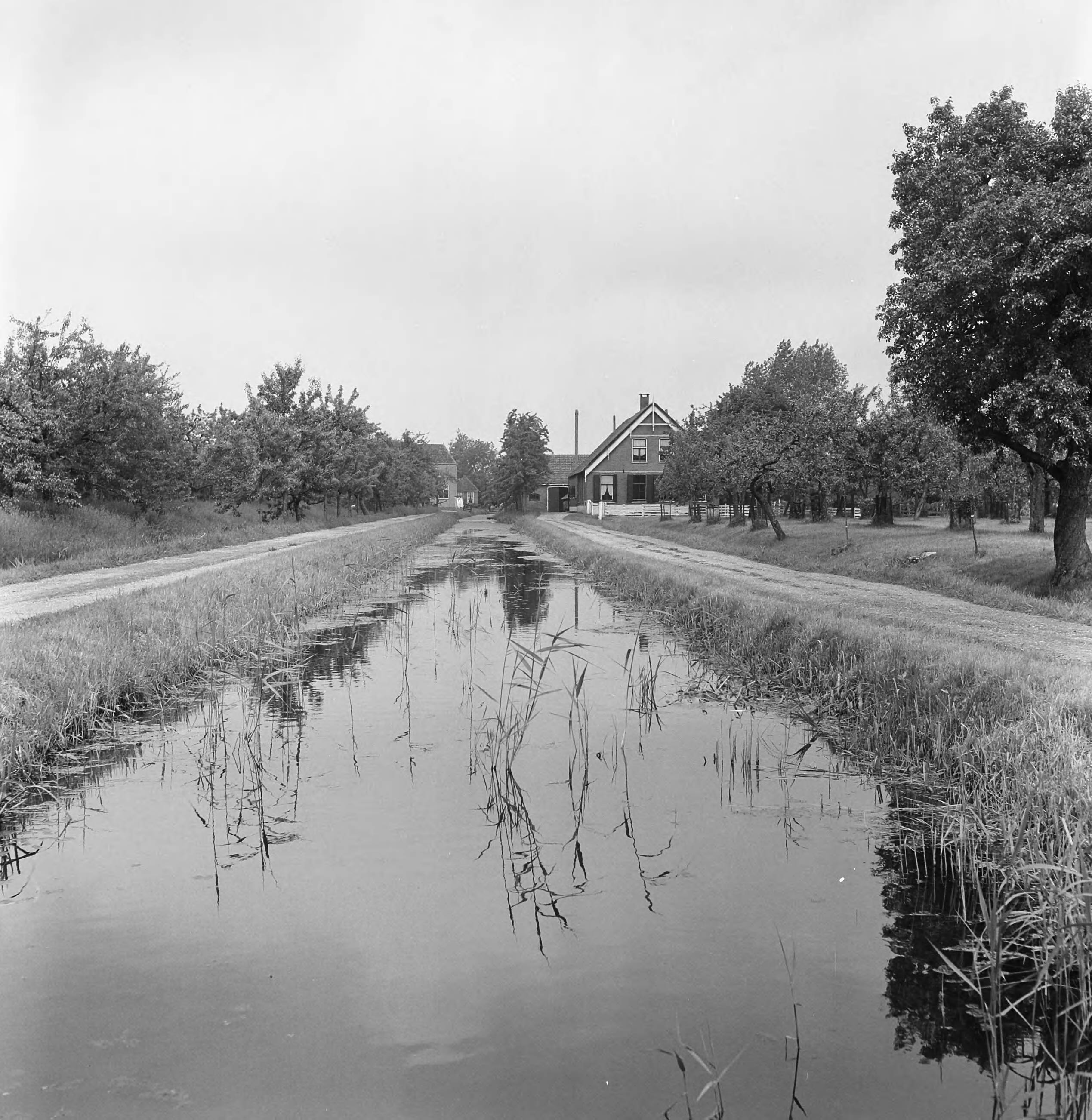 Fotocollectie Nederlandse Heidemaatschappij — Boerderij et lange dreef langs de weg Woerden - Bodegraven — Foto: Nijhof, [...] / Heidemij. Licentie: Set B: Rechtenvrij / Publiek Domein. Bron: Nationaal Archief. http://hdl.handle.net/10648/ae7d2cae-d0b4-102d-bcf8-003048976d84