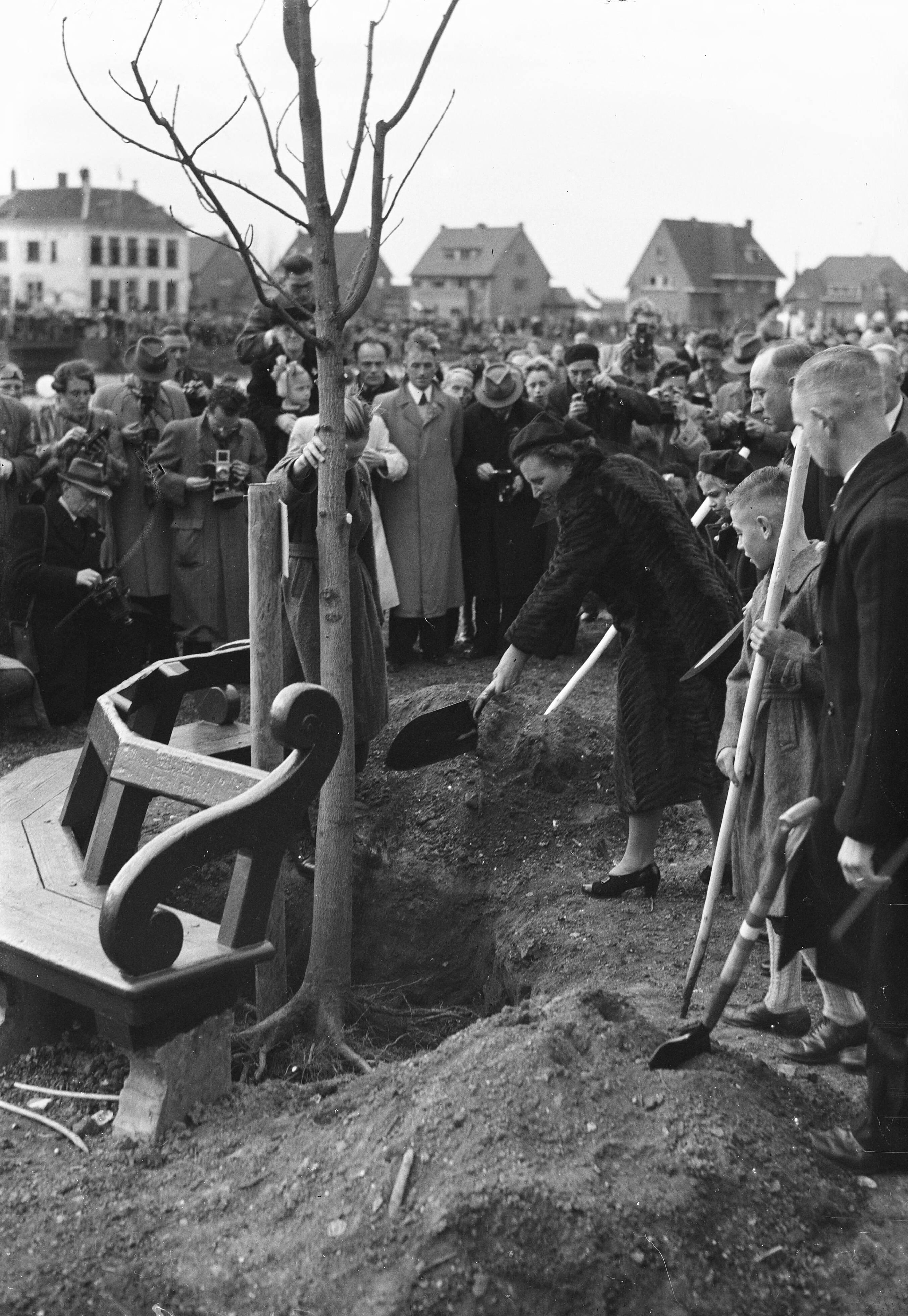 Fotocollectie Anefo — Opening Boomplantdag op Walcheren door prinses Juliana, in gezelschap van prins Bernhard. Prinses Juliana plant een boom op het Seisbolwerk te Middelburg — Foto: Sagers, Harry / Anefo. Licentie: Set B: Rechtenvrij / Publiek Domein. Bron: Nationaal Archief. http://hdl.handle.net/10648/a8af2048-d0b4-102d-bcf8-003048976d84