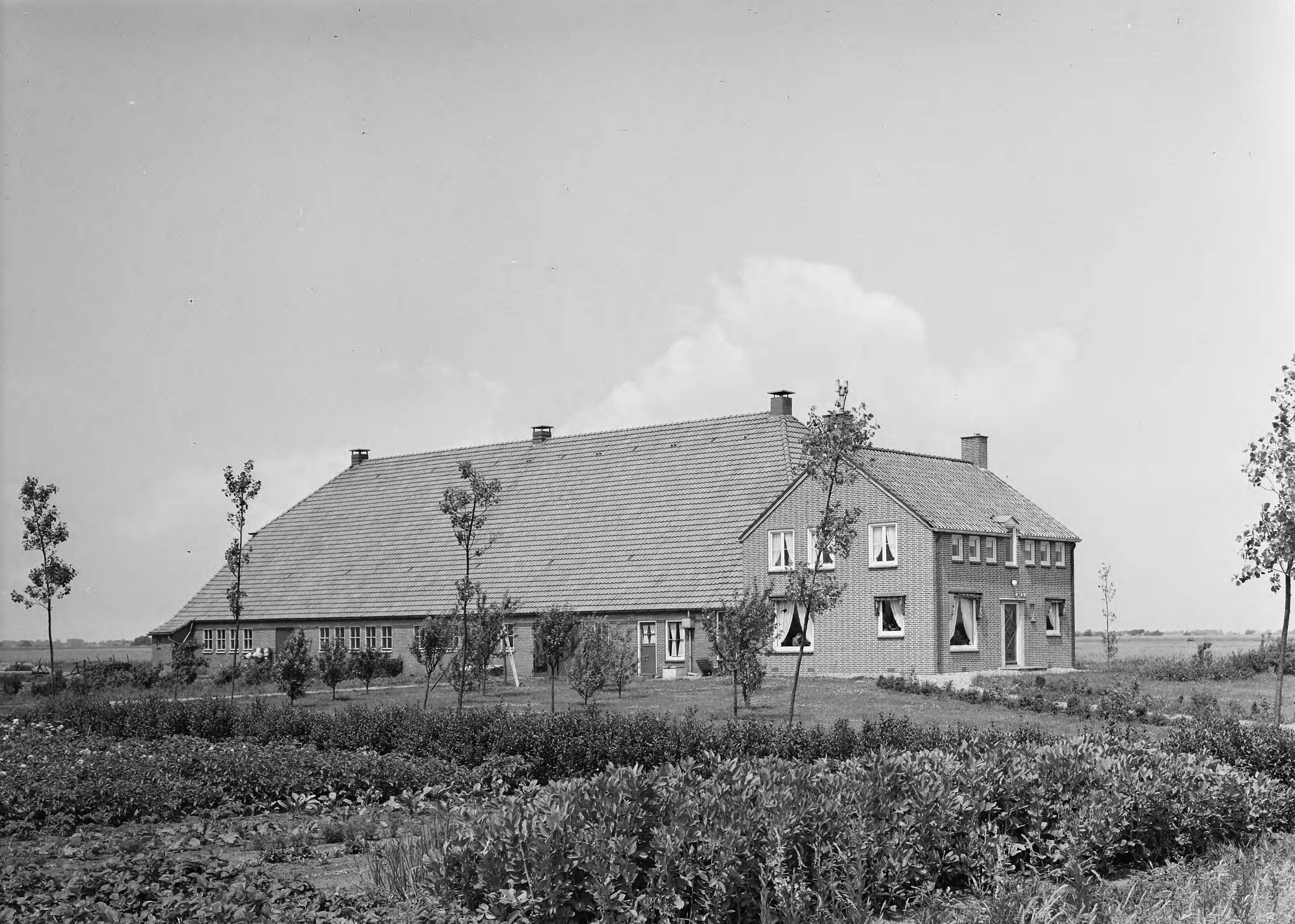 Fotocollectie Nederlandse Heidemaatschappij — Boerderij landbouwer Guichelaar (Groningen) — Foto: Wüllschleger, [...] / Heidemij. Licentie: Set B: Rechtenvrij / Publiek Domein. Bron: Nationaal Archief. http://hdl.handle.net/10648/ae779c62-d0b4-102d-bcf8-003048976d84