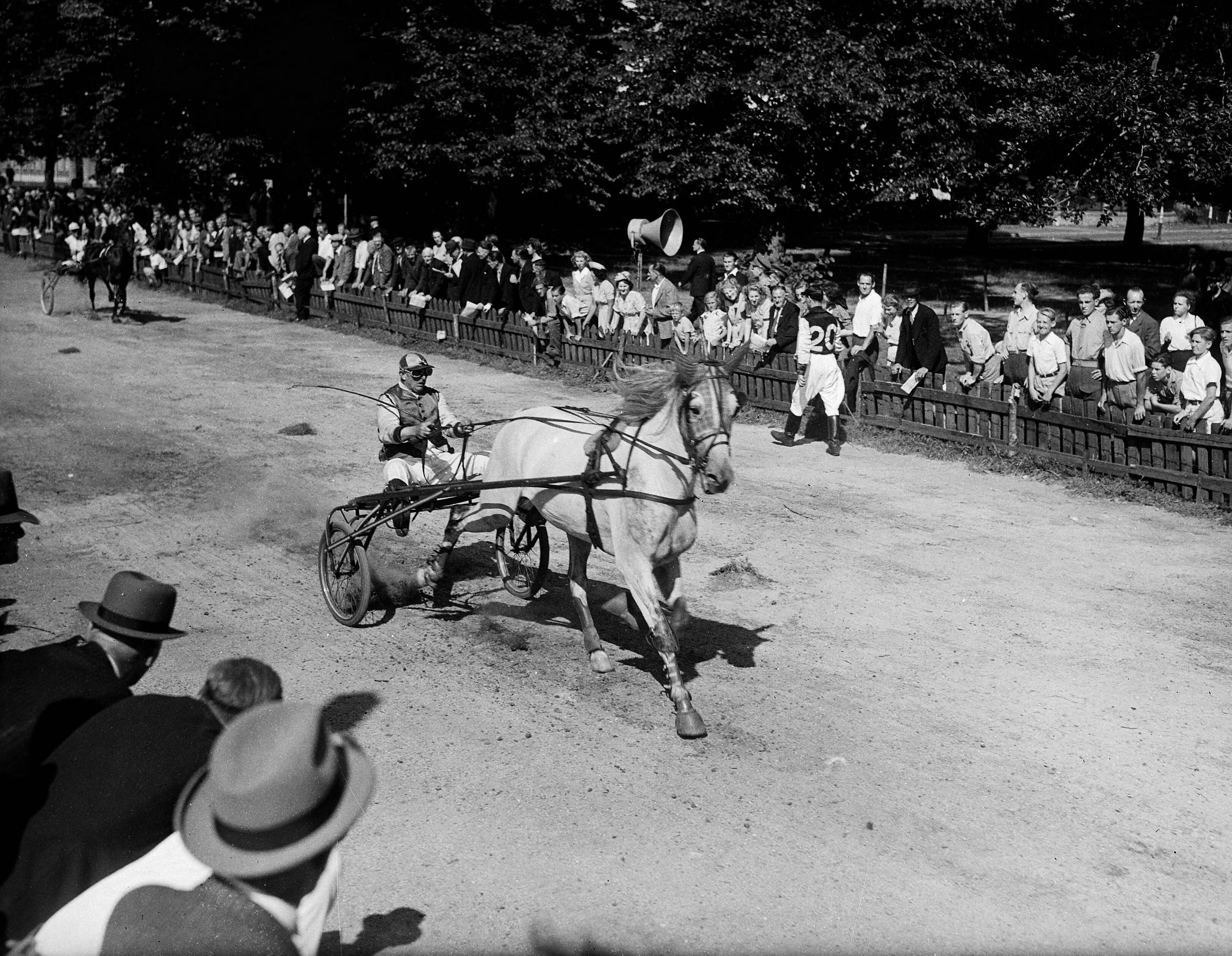 Fotocollectie Anefo — Drafsport. Kortebaan wedstrijden te Haarlem — Foto: Noske, J.D. / Anefo. Licentie: Set B: Rechtenvrij / Publiek Domein. Bron: Nationaal Archief. http://hdl.handle.net/10648/a8ab30fa-d0b4-102d-bcf8-003048976d84