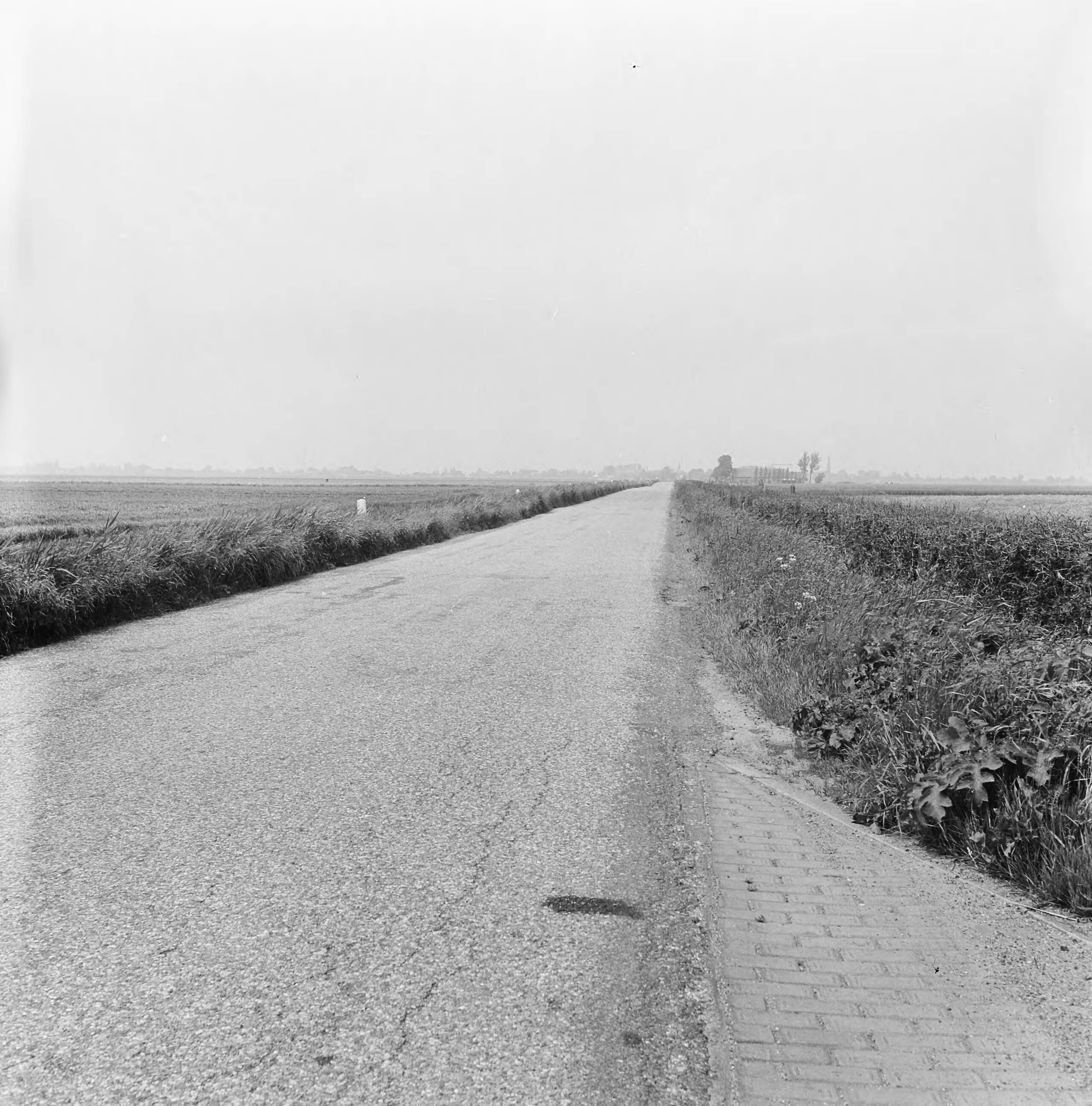 Fotocollectie Nederlandse Heidemaatschappij — Kale wege naar Leijmuiden [Leimuiden] — Foto: Nijhof, [...] / Heidemij. Licentie: Set B: Rechtenvrij / Publiek Domein. Bron: Nationaal Archief. http://hdl.handle.net/10648/ae7c96b8-d0b4-102d-bcf8-003048976d84