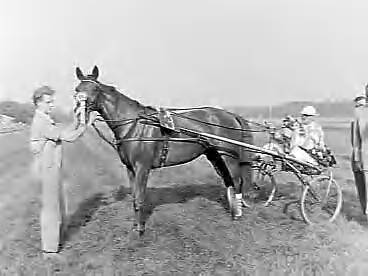 Fotocollectie Anefo — Draverijen te Duindigt. Kampioenschap van Nederland (2500 meter). Winnaar Theo Messidor — Foto: Bilsen, Joop van / Anefo. Licentie: Set B: Rechtenvrij / Publiek Domein. Bron: Nationaal Archief. http://hdl.handle.net/10648/a9848dc8-d0b4-102d-bcf8-003048976d84