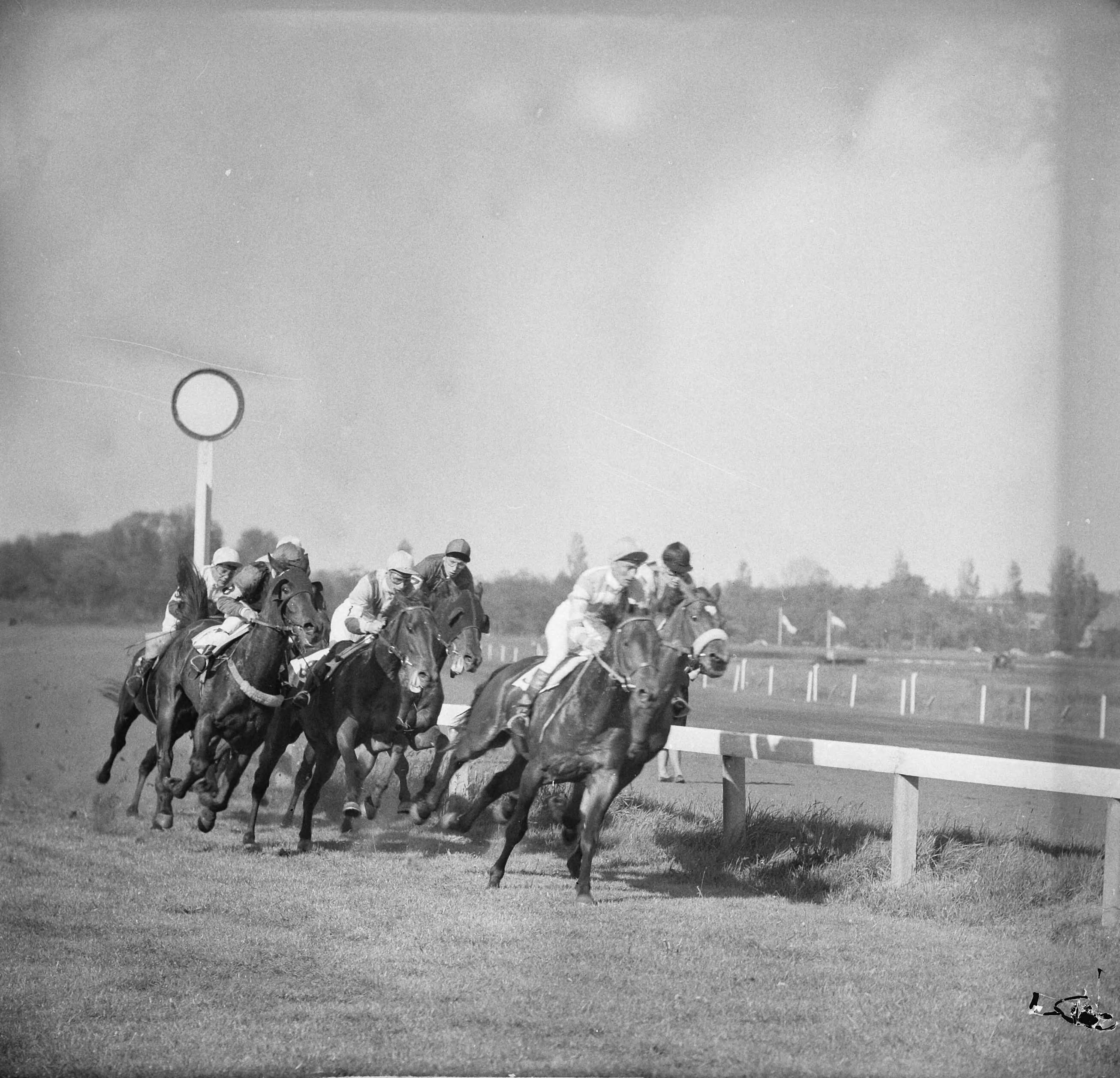 Fotocollectie Anefo — Derby op Duindigt (Flocondor) — Foto: Nijs, Jac. de / Anefo. Licentie: Set B: Rechtenvrij / Publiek Domein. Bron: Nationaal Archief. http://hdl.handle.net/10648/aa0b090c-d0b4-102d-bcf8-003048976d84