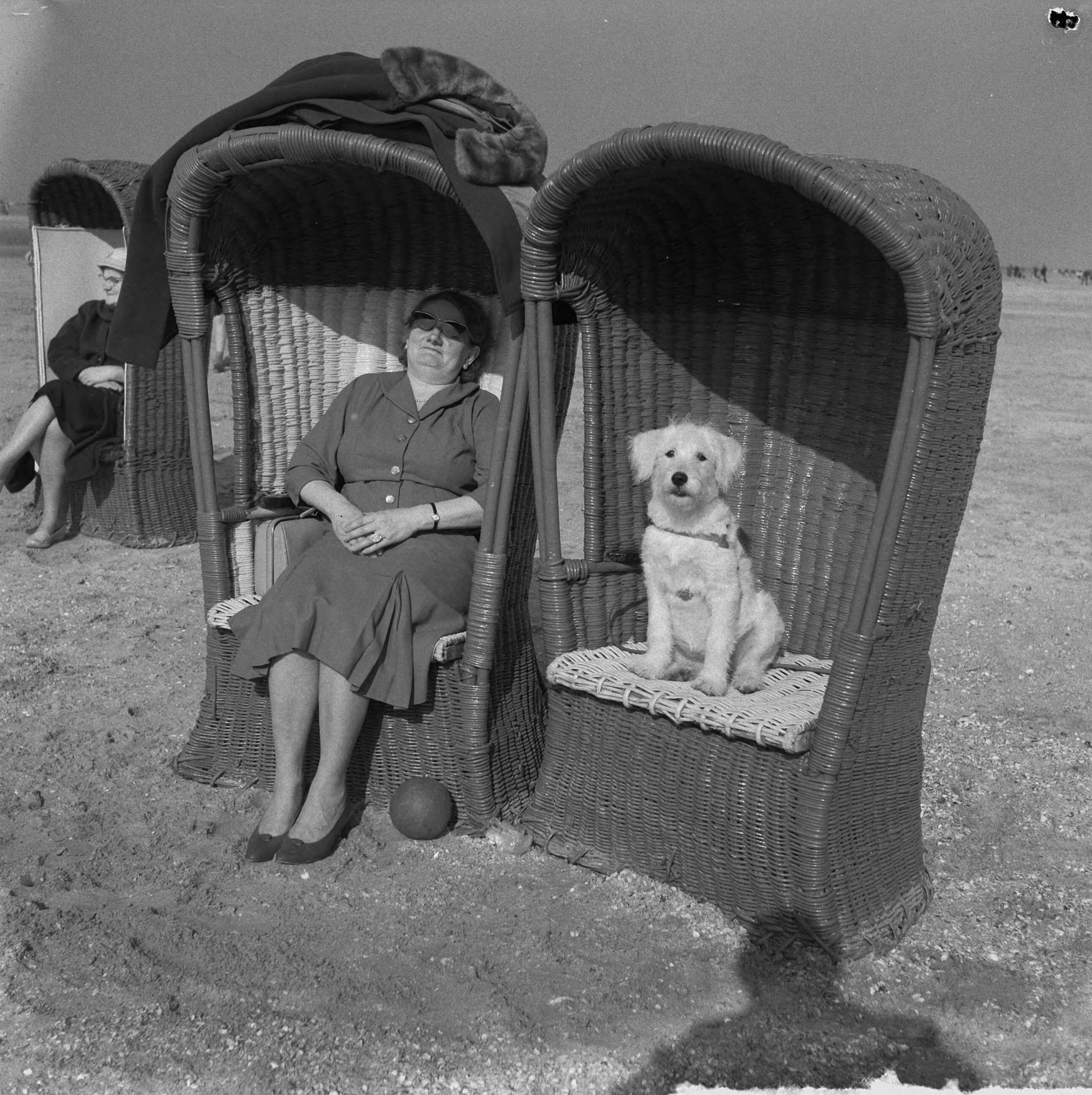 Fotocollectie Anefo — Mooi weer aan het strand te Zandvoort. Bazin en hond in strandstoel — Foto: Nijs, Jac. de / Anefo. Licentie: Set B: Rechtenvrij / Publiek Domein. Bron: Nationaal Archief. http://hdl.handle.net/10648/a9cba654-d0b4-102d-bcf8-003048976d84