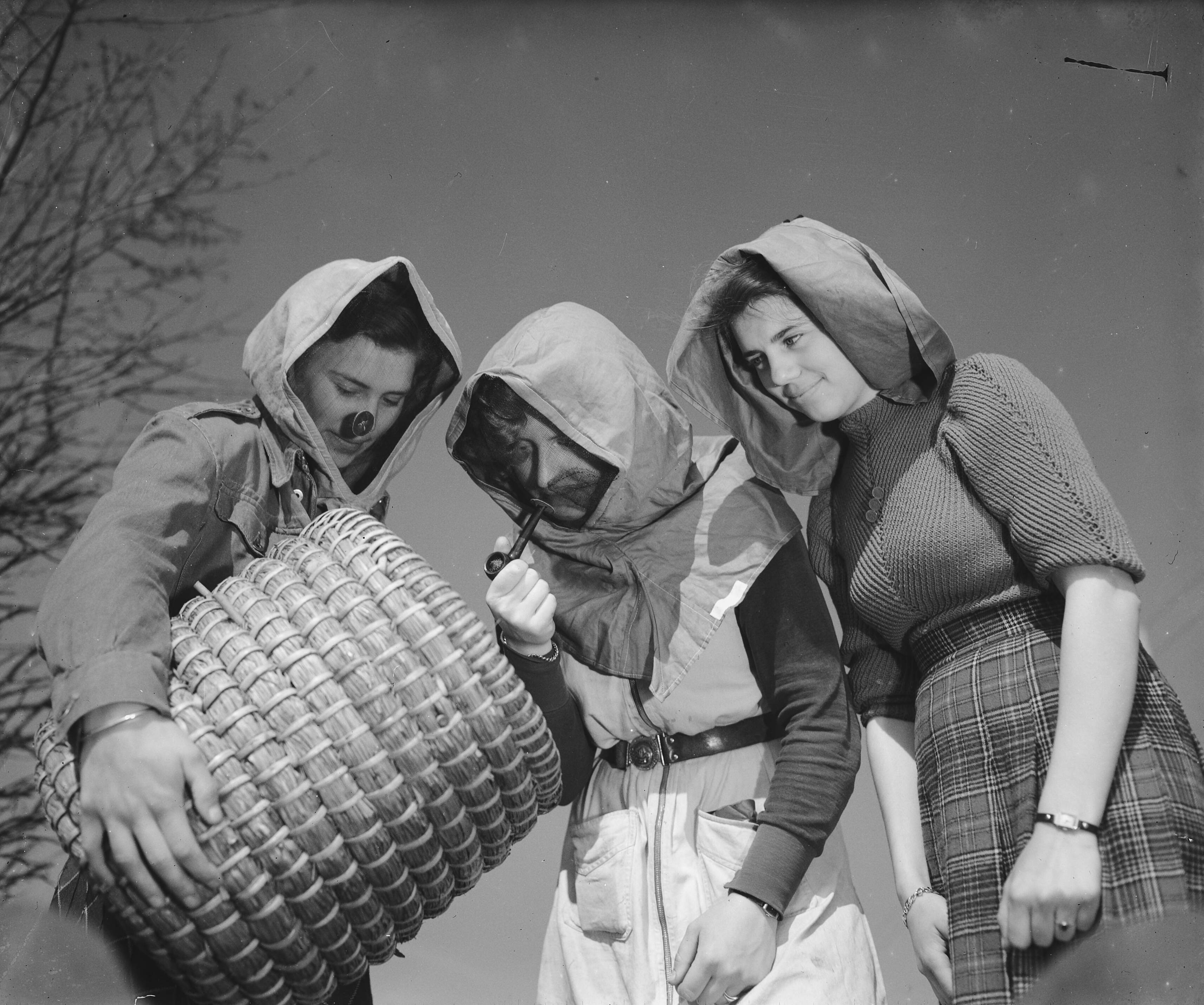 Fotocollectie Anefo — Tuinbouwschool "Huize te Lande" Rijswijk; Tuinbouwschool "Huize te Lande" te Rijswijk. Met de imkerkap op kan je niets gebeuren, vooral wanneer je een pijp erbij rookt. Een is dapperder, en trotseert de dreiging van de zoemende bijen — Foto: Raucamp, Koos / Anefo. Licentie: Set B: Rechtenvrij / Publiek Domein. Bron: Nationaal Archief. http://hdl.handle.net/10648/a89b480c-d0b4-102d-bcf8-003048976d84