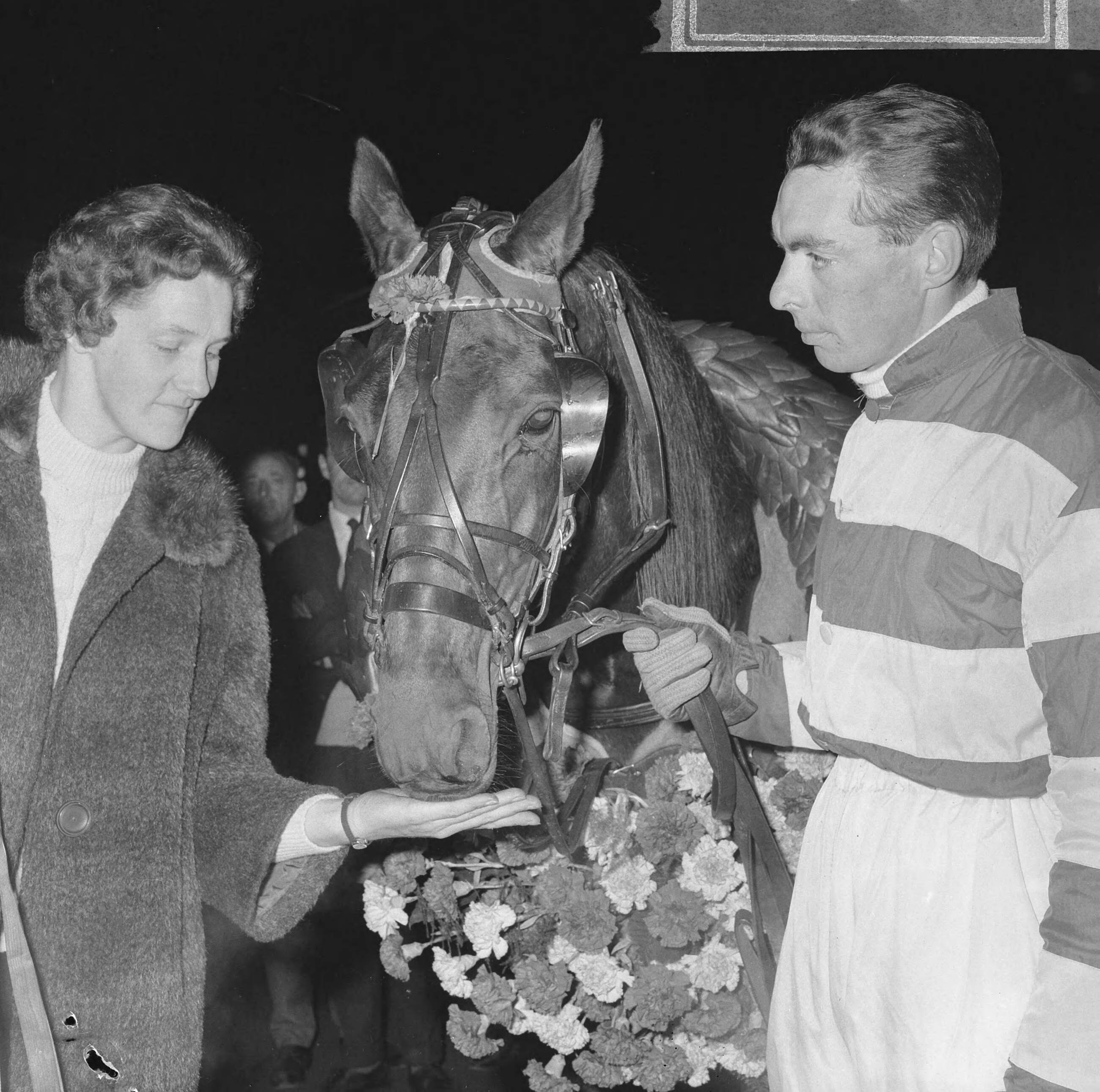 Fotocollectie Anefo — Huldiging van het paard Quicksilver S (draver) op de renbaan van Hilversum. Jan Wagenaar jr. en echtgenote bij het paard — Foto: Kroon, Ron / Anefo. Licentie: Set B: Rechtenvrij / Publiek Domein. Bron: Nationaal Archief. http://hdl.handle.net/10648/aac7a648-d0b4-102d-bcf8-003048976d84