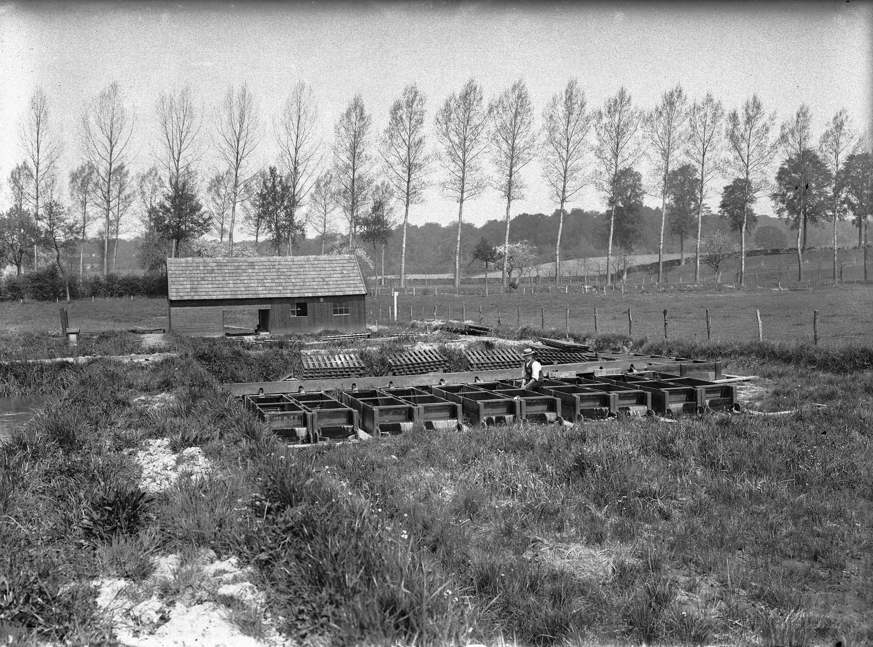 Fotocollectie Nederlandse Heidemaatschappij — Kweekbakken te Gulpen — Foto: Fotograaf Onbekend / Heidemij. Licentie: Set B: Rechtenvrij / Publiek Domein. Bron: Nationaal Archief. http://hdl.handle.net/10648/ae7c3b28-d0b4-102d-bcf8-003048976d84
