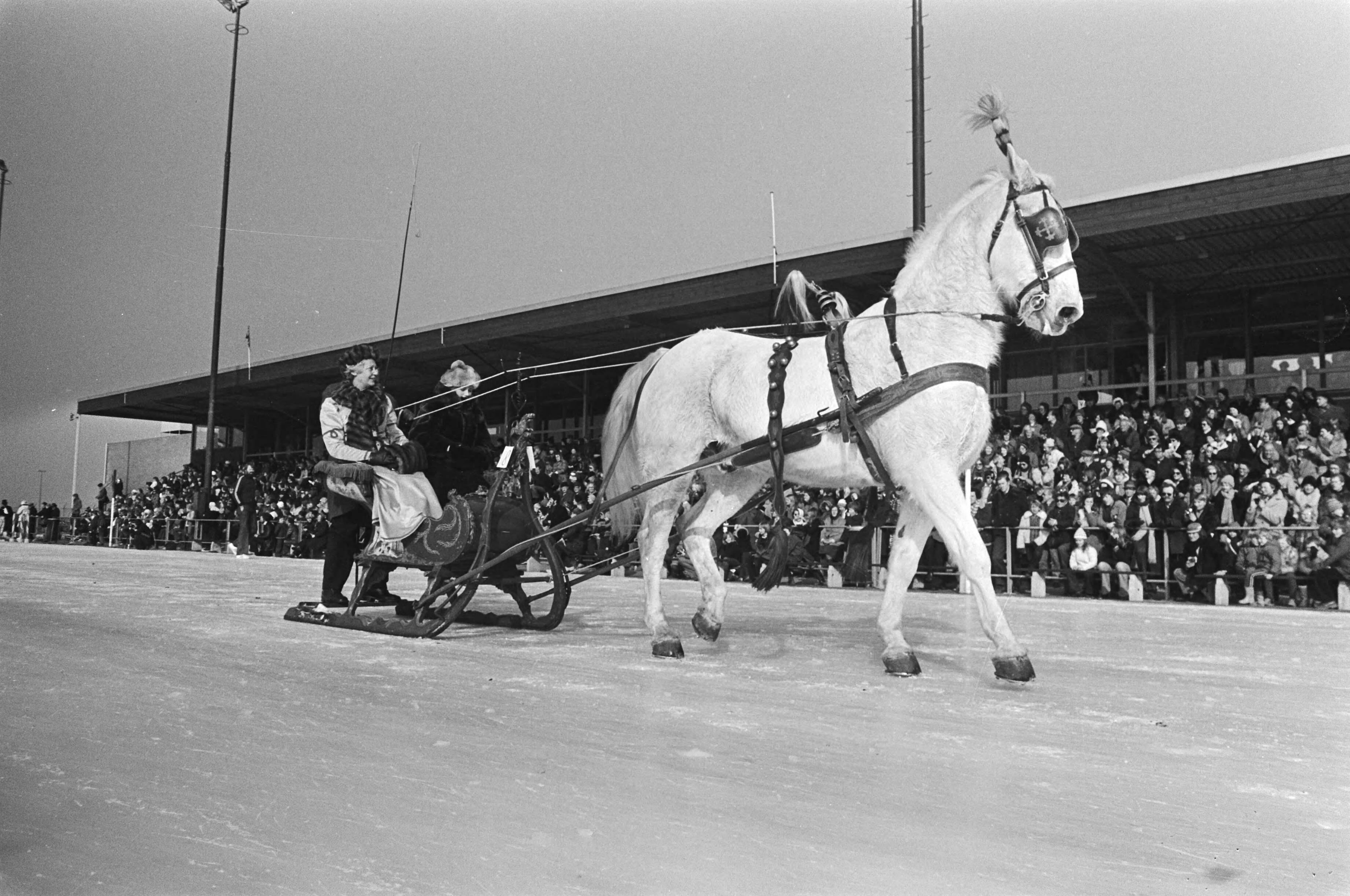 Fotocollectie Anefo — Oud-hollandse ijsfolklore op kunstijsbaan Alkmaar; arresleeen — Foto: Bogaerts, Rob / Anefo. Licentie: Set B: Rechtenvrij / Publiek Domein. Bron: Nationaal Archief. http://hdl.handle.net/10648/ac7e9d48-d0b4-102d-bcf8-003048976d84
