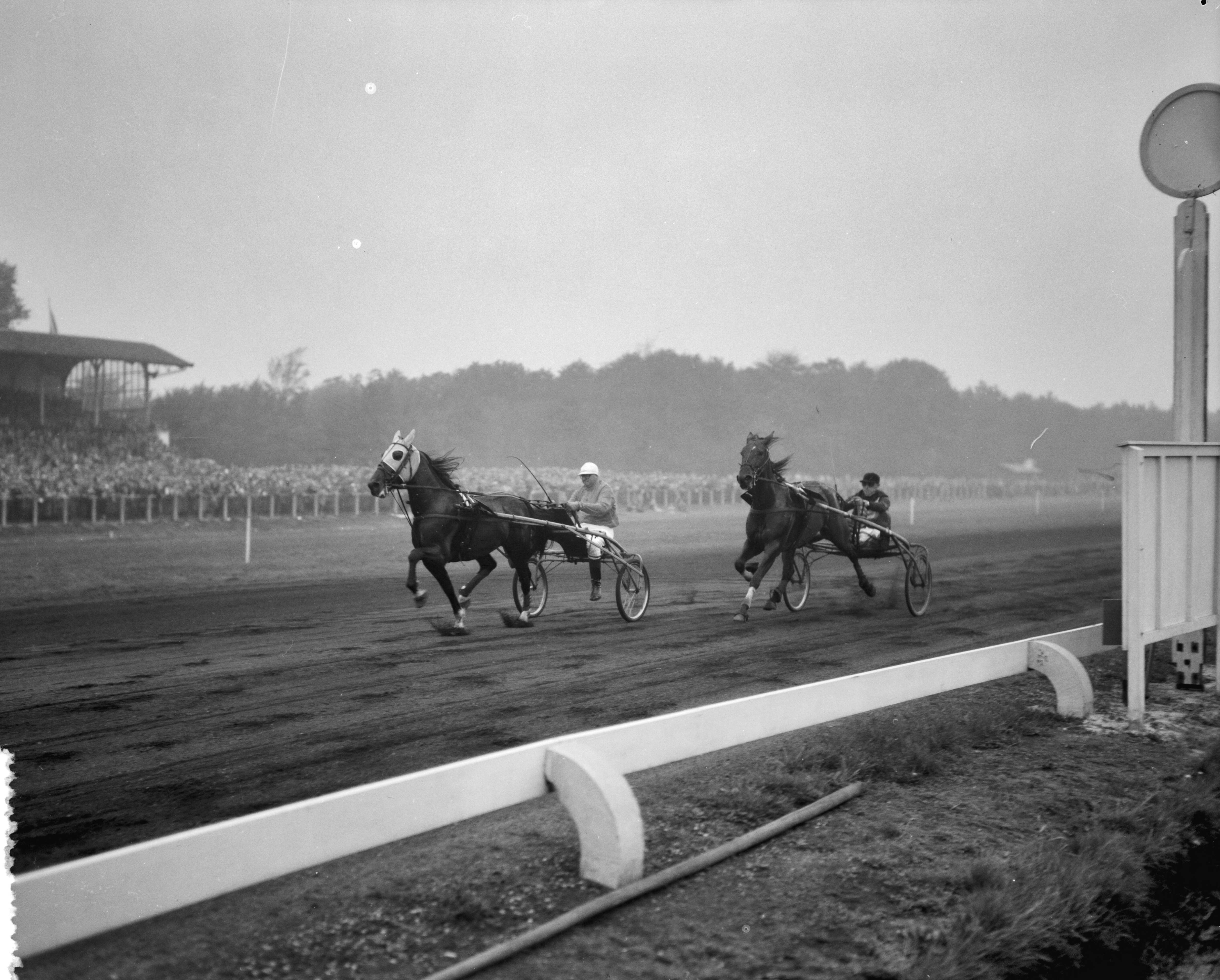 Fotocollectie Anefo — Internationale draverijen Duindigt. Spencer Hollandia (Ned.) en Luma Bloc (Belgie) — Foto: Bilsen, Joop van / Anefo. Licentie: Set B: Rechtenvrij / Publiek Domein. Bron: Nationaal Archief. http://hdl.handle.net/10648/a950b9b2-d0b4-102d-bcf8-003048976d84