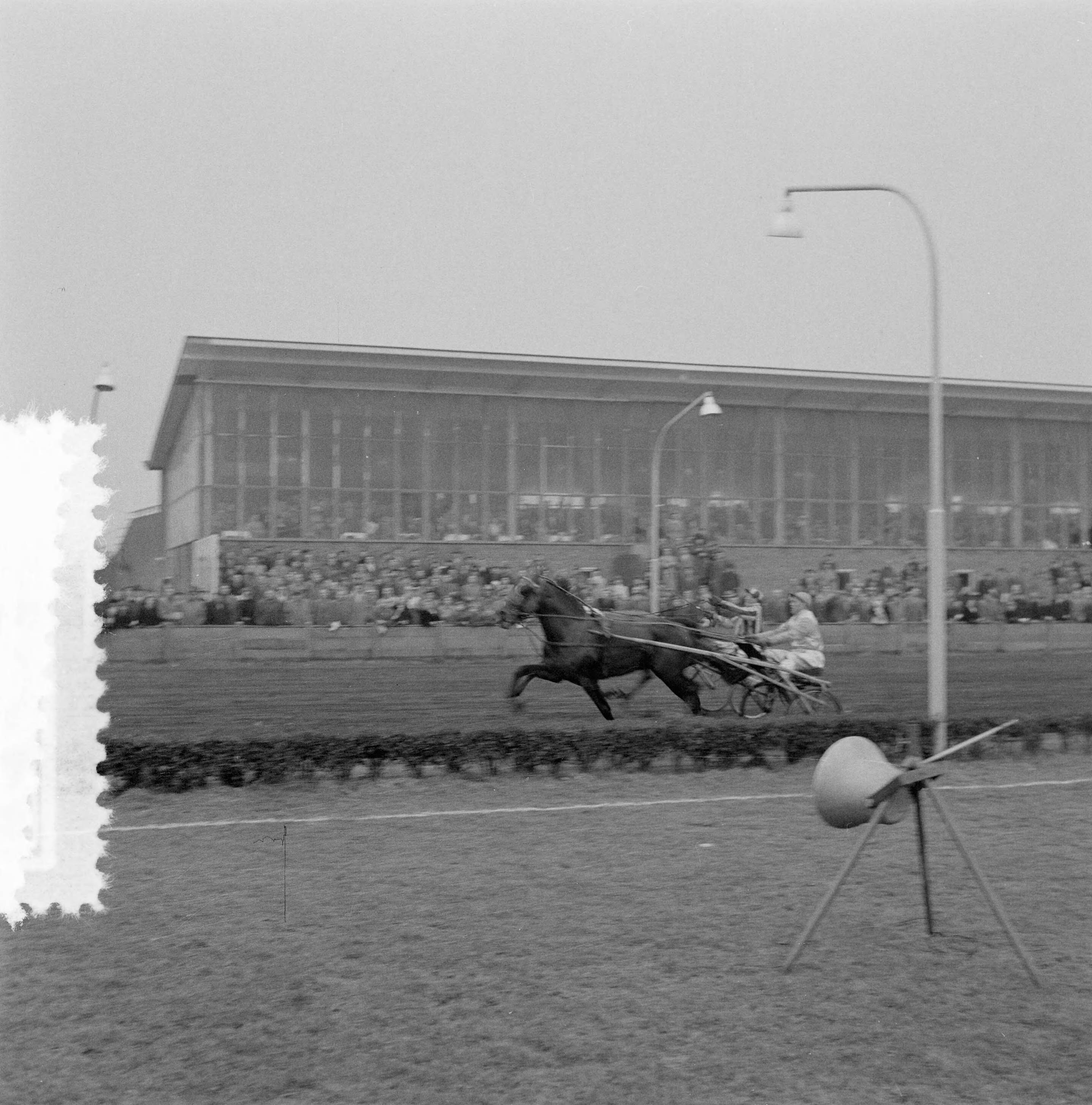 Fotocollectie Anefo — Draverijen Hilversum, Gentleman prijs — Foto: Behrens, Herbert F. / Anefo. Licentie: Set B: Rechtenvrij / Publiek Domein. Bron: Nationaal Archief. http://hdl.handle.net/10648/a94244a4-d0b4-102d-bcf8-003048976d84