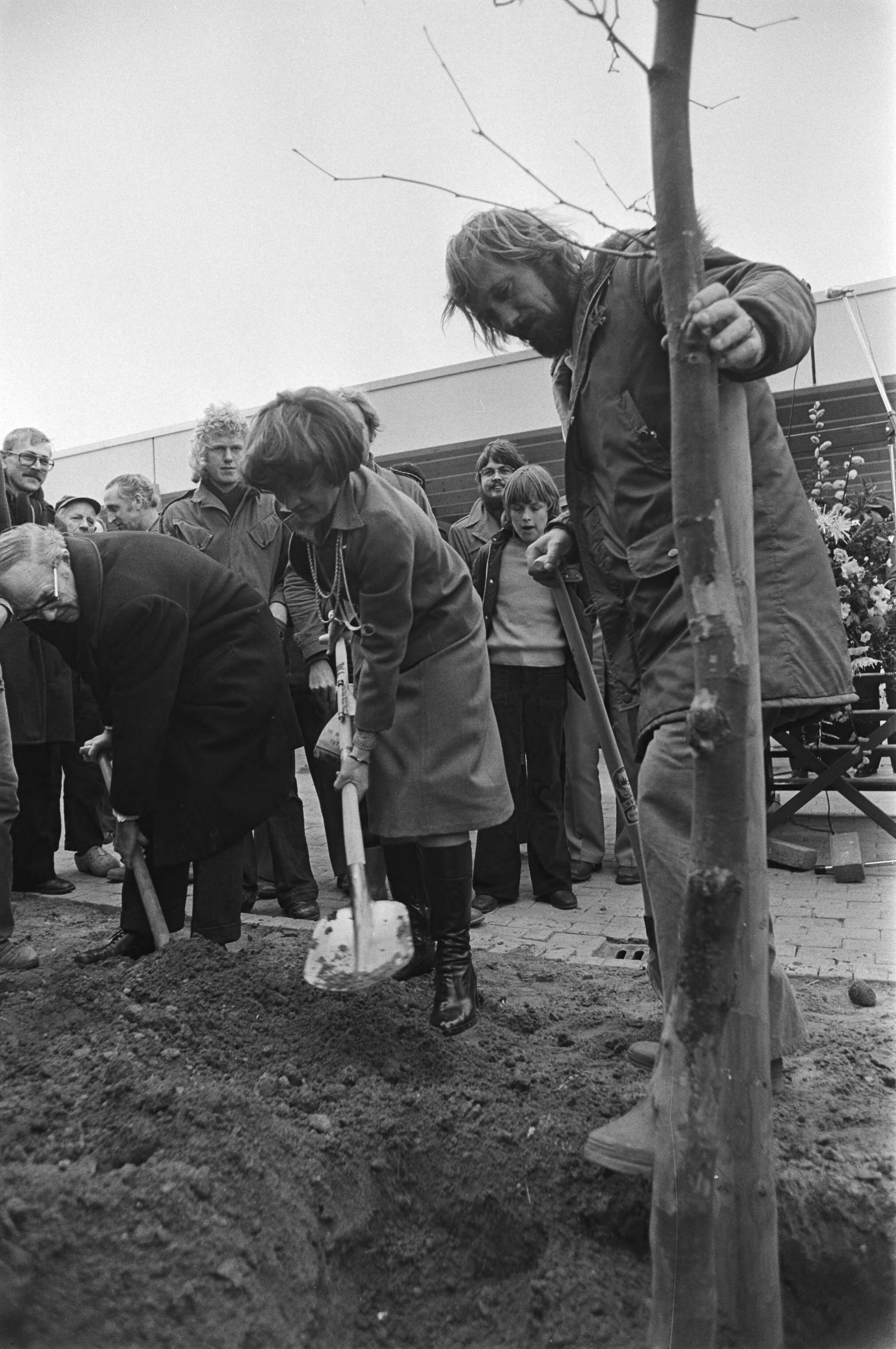 Prinses Margriet plant met scholieren een boom op de boomfeestdag in Almere Haven — Prinses Margriet graaft een kuil voor een plantaan — Foto: Suyk, Koen / Anefo. Licentie: Set B: Rechtenvrij / Publiek Domein. Bron: Nationaal Archief. http://hdl.handle.net/10648/ac979e56-d0b4-102d-bcf8-003048976d84