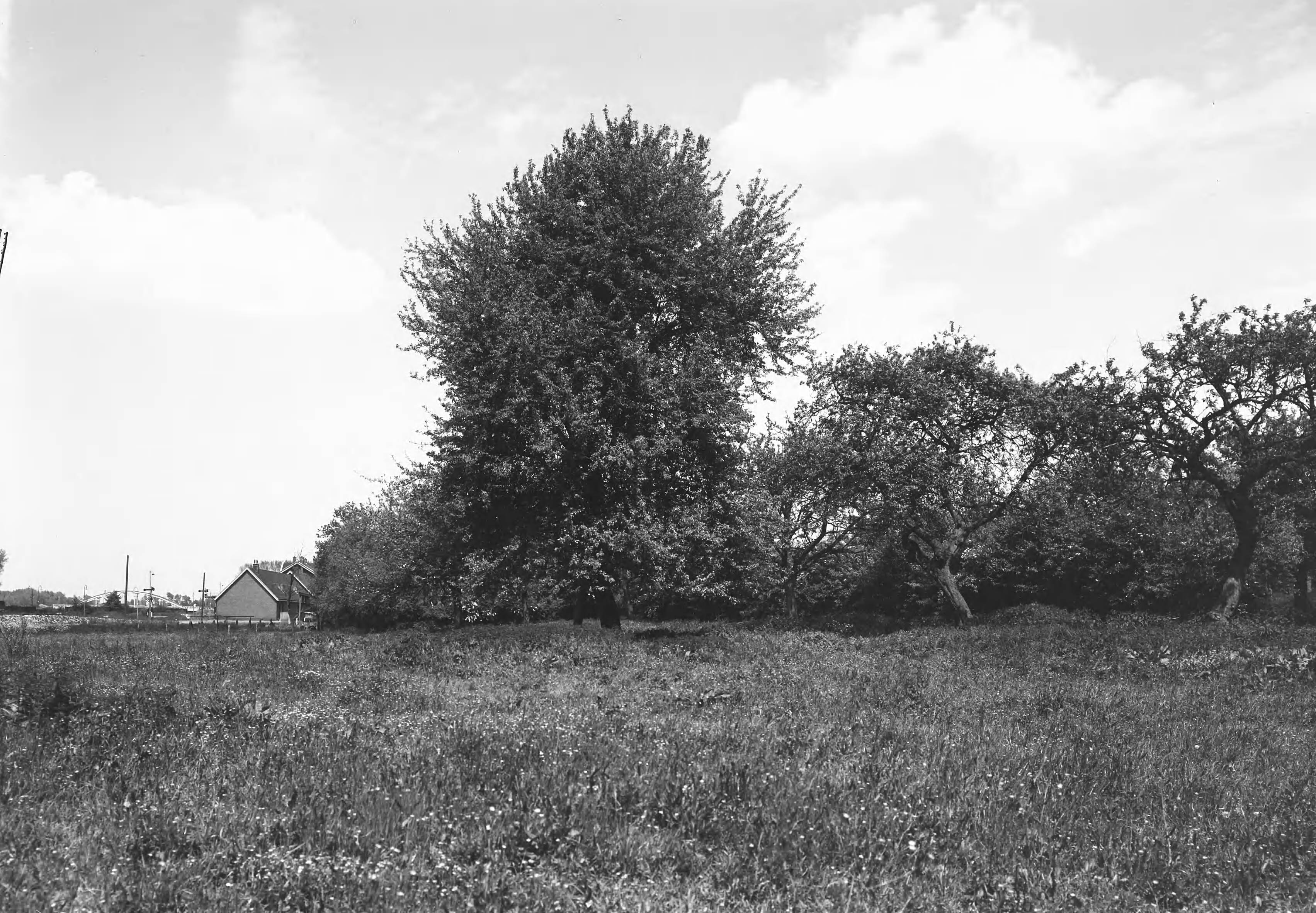 Fotocollectie Nederlandse Heidemaatschappij — plaats waar autoweg zal komen — Foto: Fotograaf Onbekend / Heidemij. Licentie: Set B: Rechtenvrij / Publiek Domein. Bron: Nationaal Archief. http://hdl.handle.net/10648/ae43e7f0-d0b4-102d-bcf8-003048976d84