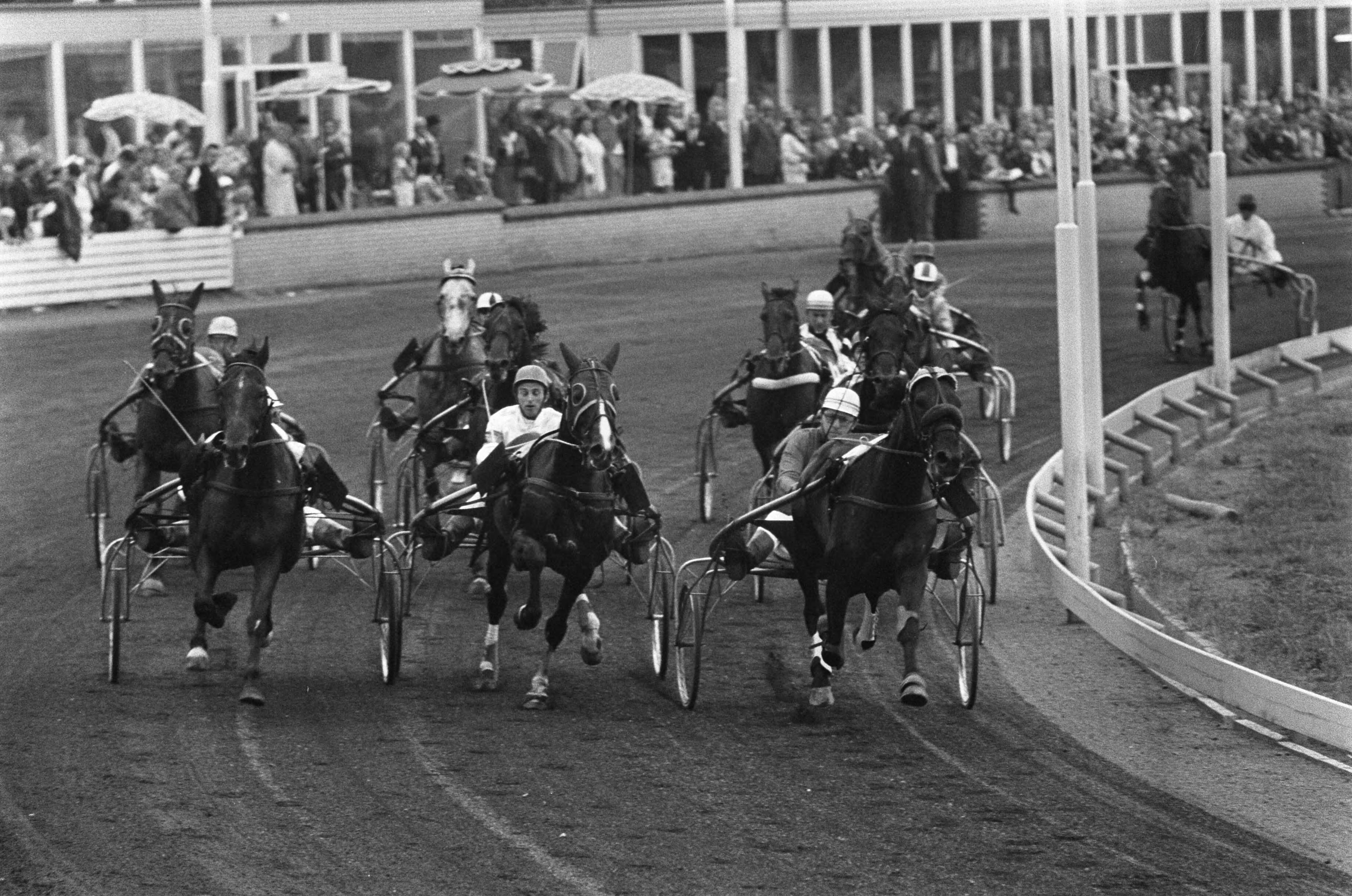 Draverijen om de Gouden Zweep te Hilversum — Yellow Six met Dapper Jr., Florissant met Leeuwenkamp, Crack Hollandia met Van Dooyeweerd — Foto: Fotograaf Onbekend / Anefo. Licentie: Set B: Rechtenvrij / Publiek Domein. Bron: Nationaal Archief. http://hdl.handle.net/10648/ab71a1fc-d0b4-102d-bcf8-003048976d84