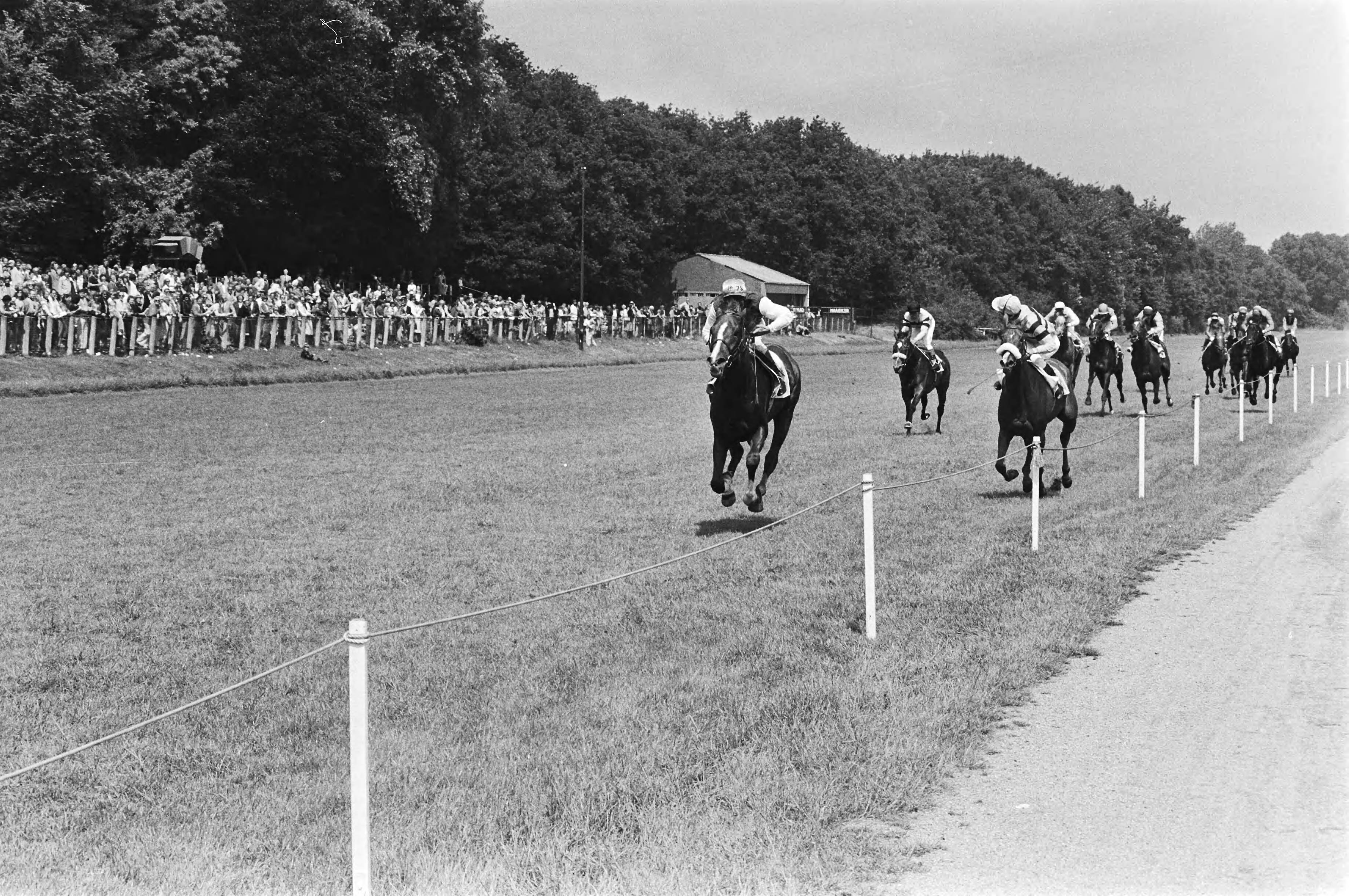51ste Derby op Duindigt — Corrals Bond met Davies (l) finisht met ruime voorsprong op nr. 11 : Boxberger Bloem — Foto: Croes, Rob C. / Anefo. Licentie: Set B: Rechtenvrij / Publiek Domein. Bron: Nationaal Archief. http://hdl.handle.net/10648/accd406a-d0b4-102d-bcf8-003048976d84
