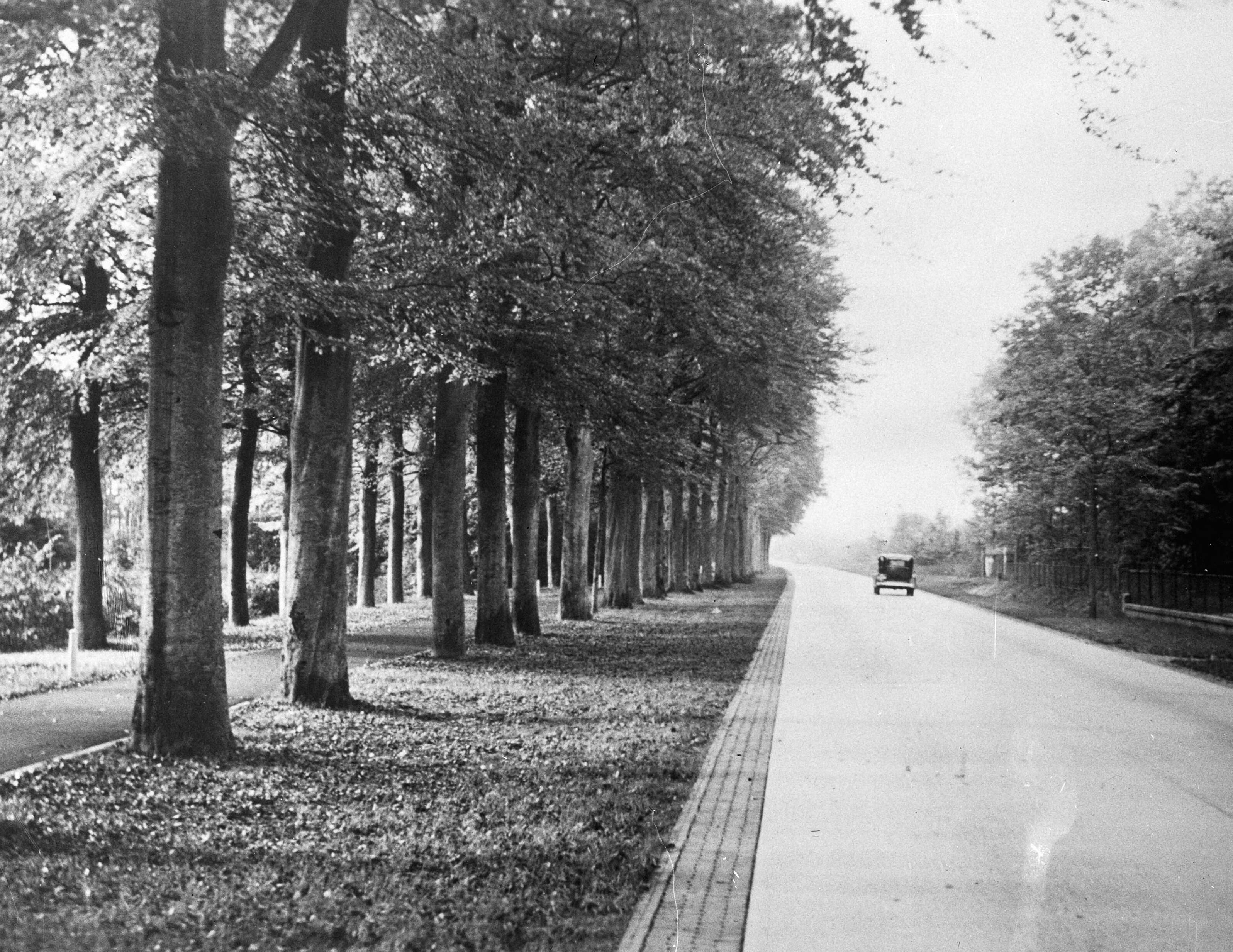 Fotocollectie Nederlandse Heidemaatschappij — Soestdijk|wegbeplantingen |snoeien |lanen|Utrecht — Foto: Fotograaf Onbekend / Heidemij. Licentie: Set B: Rechtenvrij / Publiek Domein. Bron: Nationaal Archief. http://hdl.handle.net/10648/ae4ac872-d0b4-102d-bcf8-003048976d84