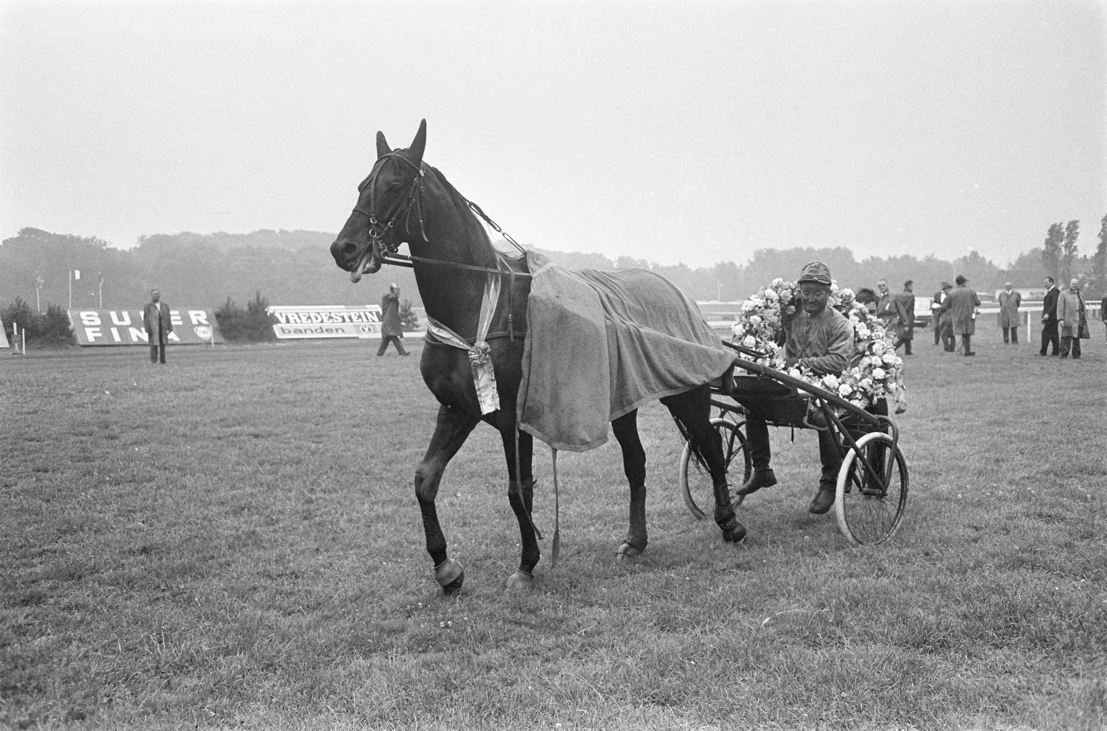 Grote Prijs der Lage Landen — Pierre Arson met paard — Foto: Fotograaf Onbekend / Anefo. Licentie: Set B: Rechtenvrij / Publiek Domein. Bron: Nationaal Archief. http://hdl.handle.net/10648/ab1d2334-d0b4-102d-bcf8-003048976d84
