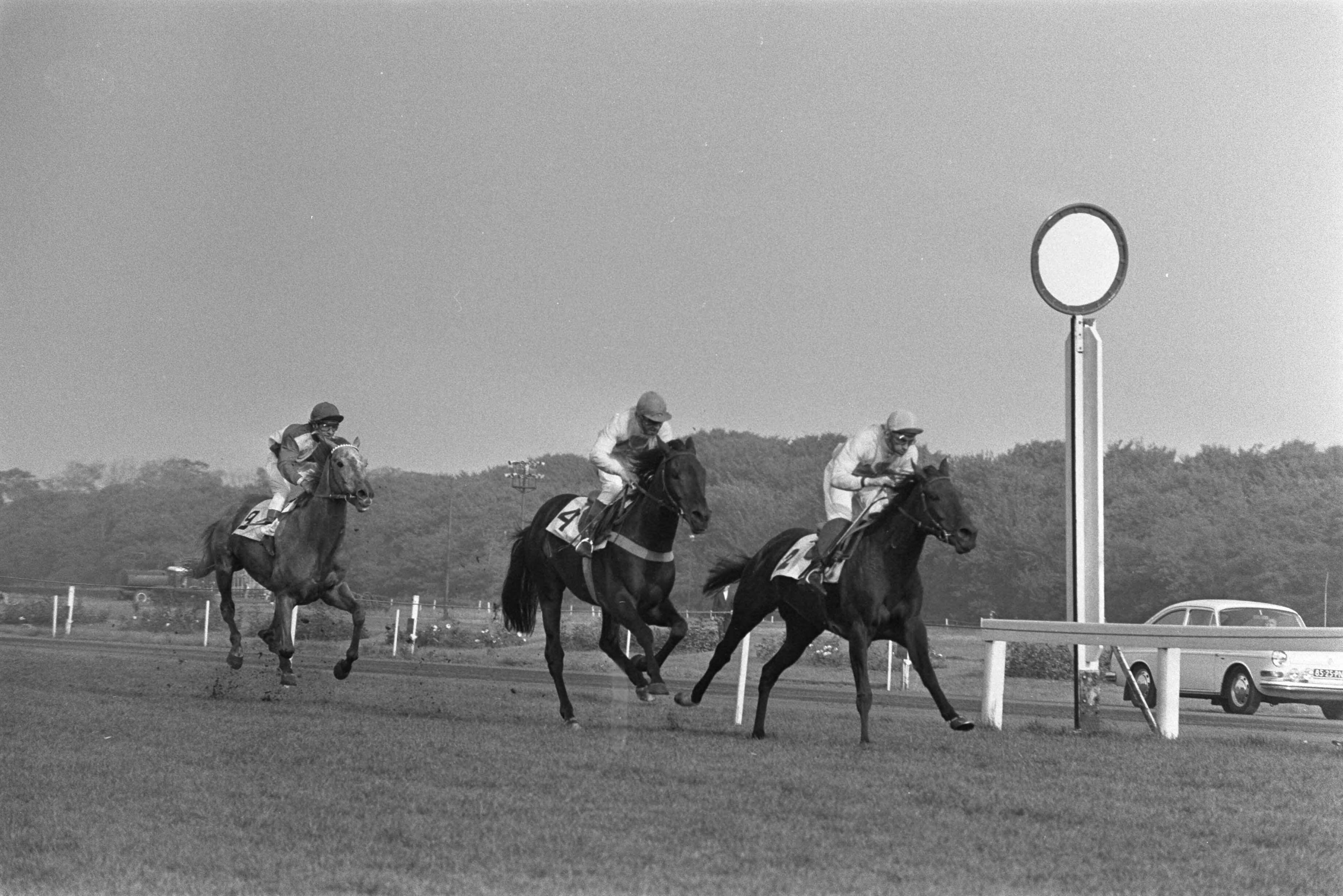 Fotocollectie Anefo — Draverijen op Duindigt — Foto: Mieremet, Rob / Anefo. Licentie: Set B: Rechtenvrij / Publiek Domein. Bron: Nationaal Archief. http://hdl.handle.net/10648/abd063f4-d0b4-102d-bcf8-003048976d84